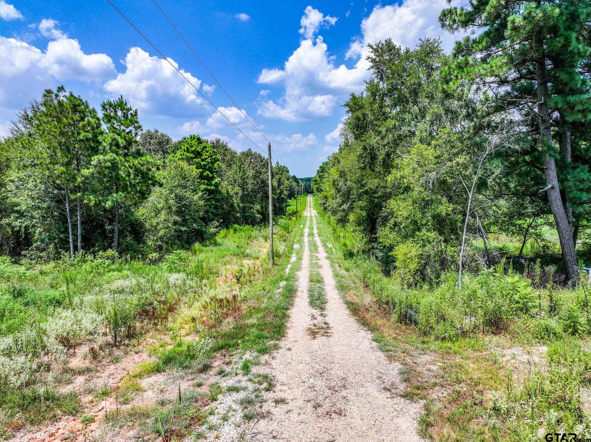 229 Pr 3900 Road Gilmer, TX 75644 - Photo 9 of 10