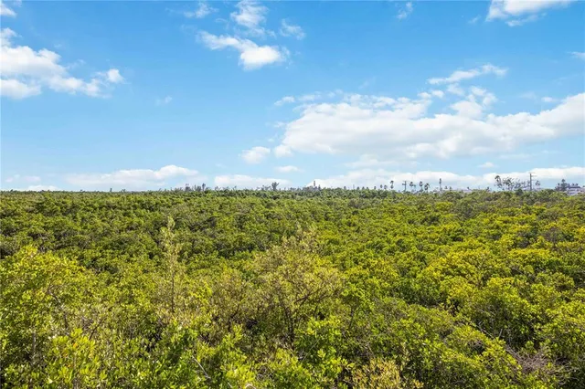 a view of a large body of water with lots of bushes