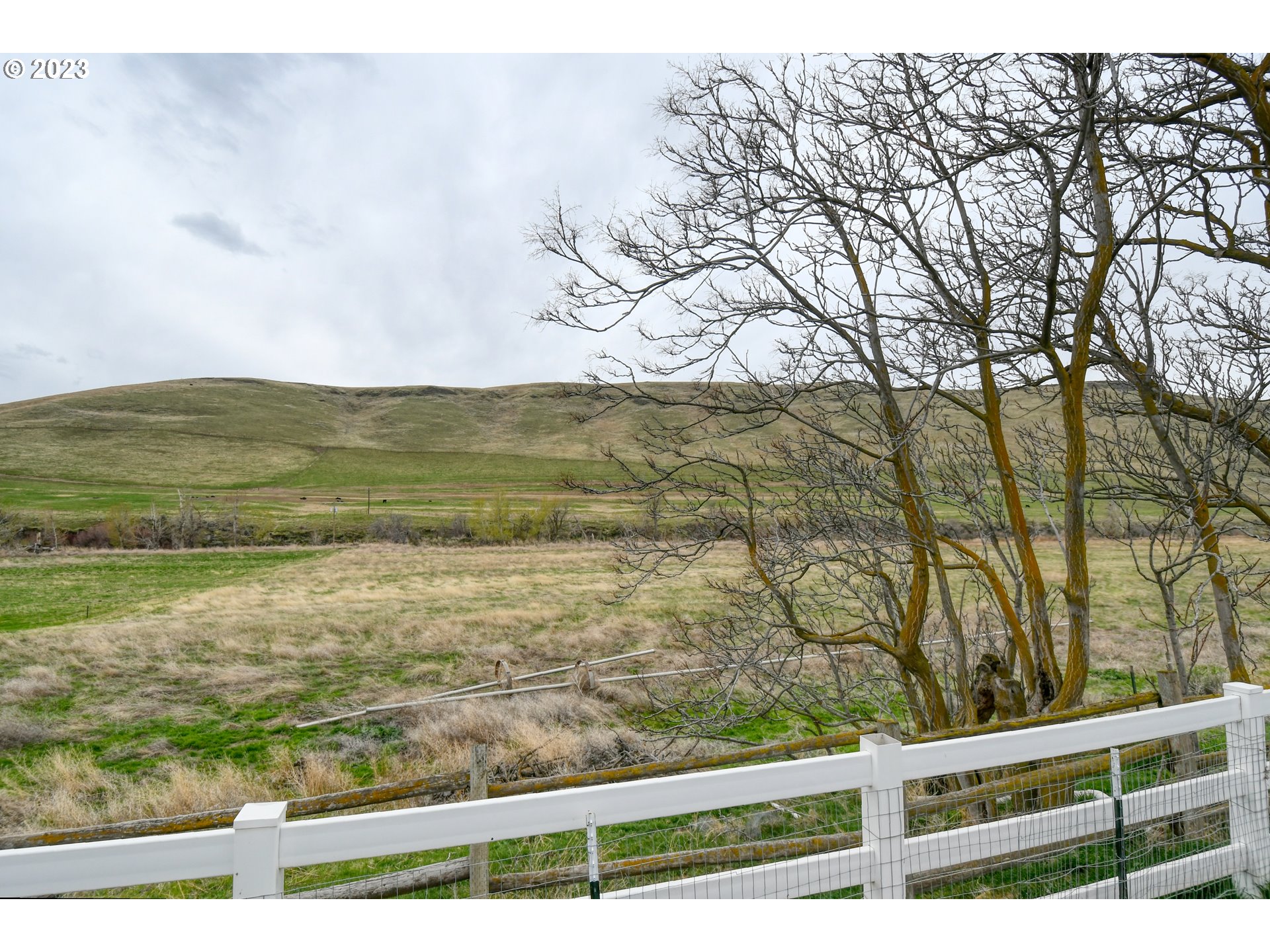 39532 Rieth Road Echo, OR 97826 - Photo 36 of 39