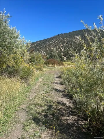 a view of a yard with a mountain in the background