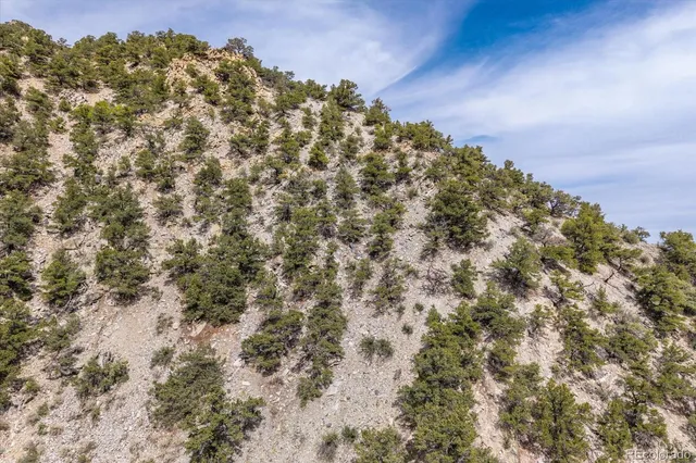 a view of a backyard with wooden fence