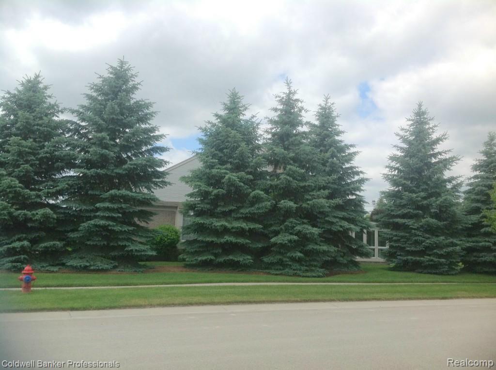 1514 Ford Court Rochester, MI 48306 - Photo 30 of 30 IMG_5442_1.jpg