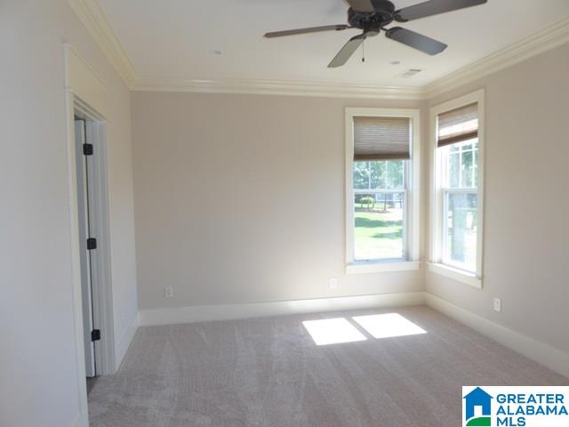 7301 Old Tannery Trail McCalla, AL 35111 - Photo 8 of 15