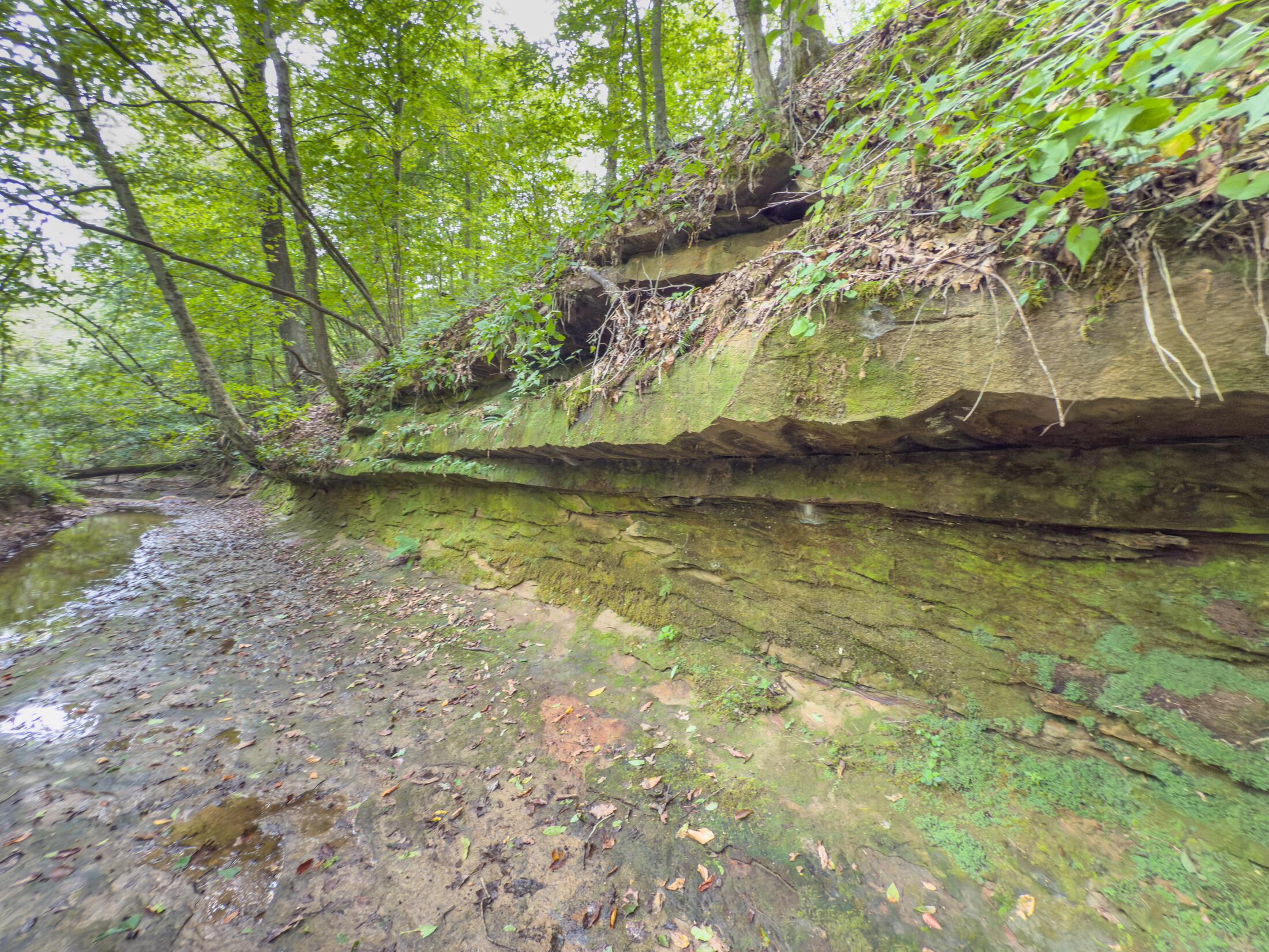 30574 Strawn Road Logan, OH 43138 - Photo 84 of 92 IMG_0535