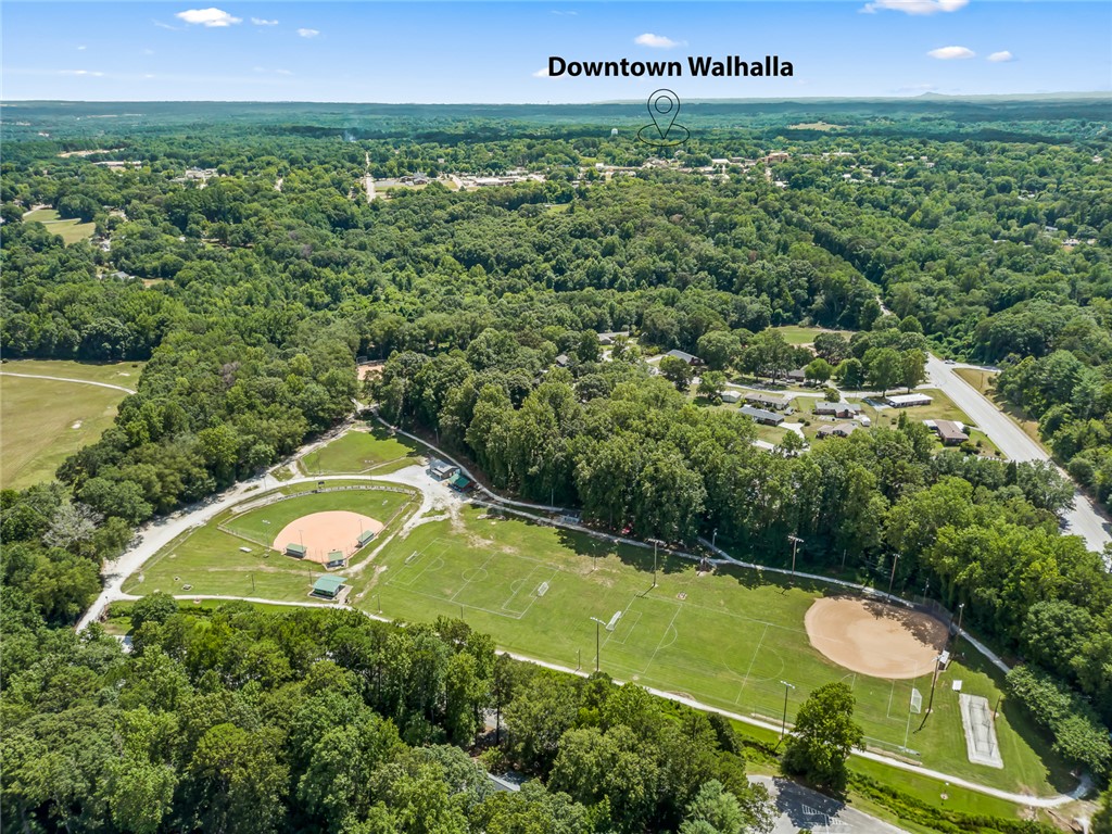 203 Tulip Drive Walhalla, SC 29691 - Photo 3 of 50