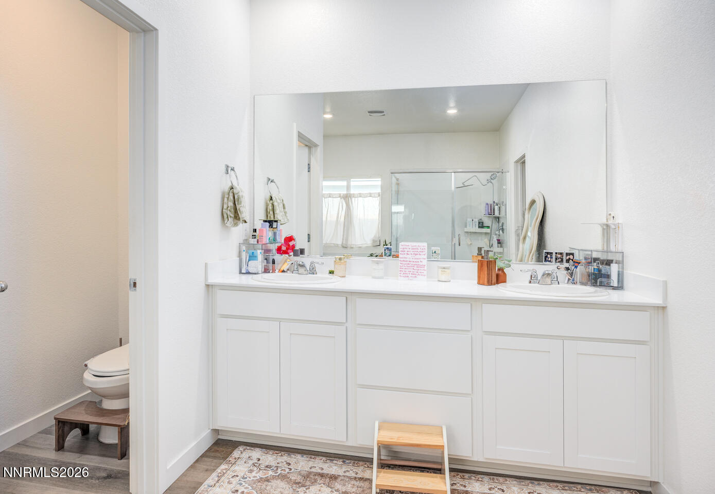 738 Butte Creek Road Dayton, NV 89403 - Photo 18 of 28 18