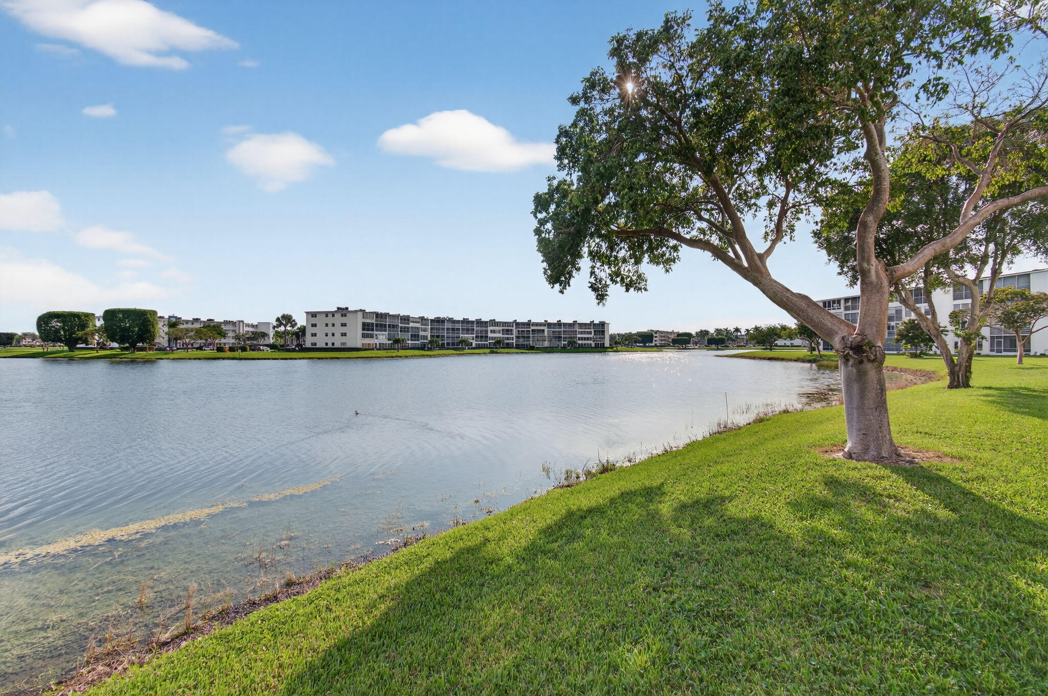 3032 Rexford B Boca Raton, FL 33434 - Photo 54 of 92 58-web-or-mls-DSC_6279