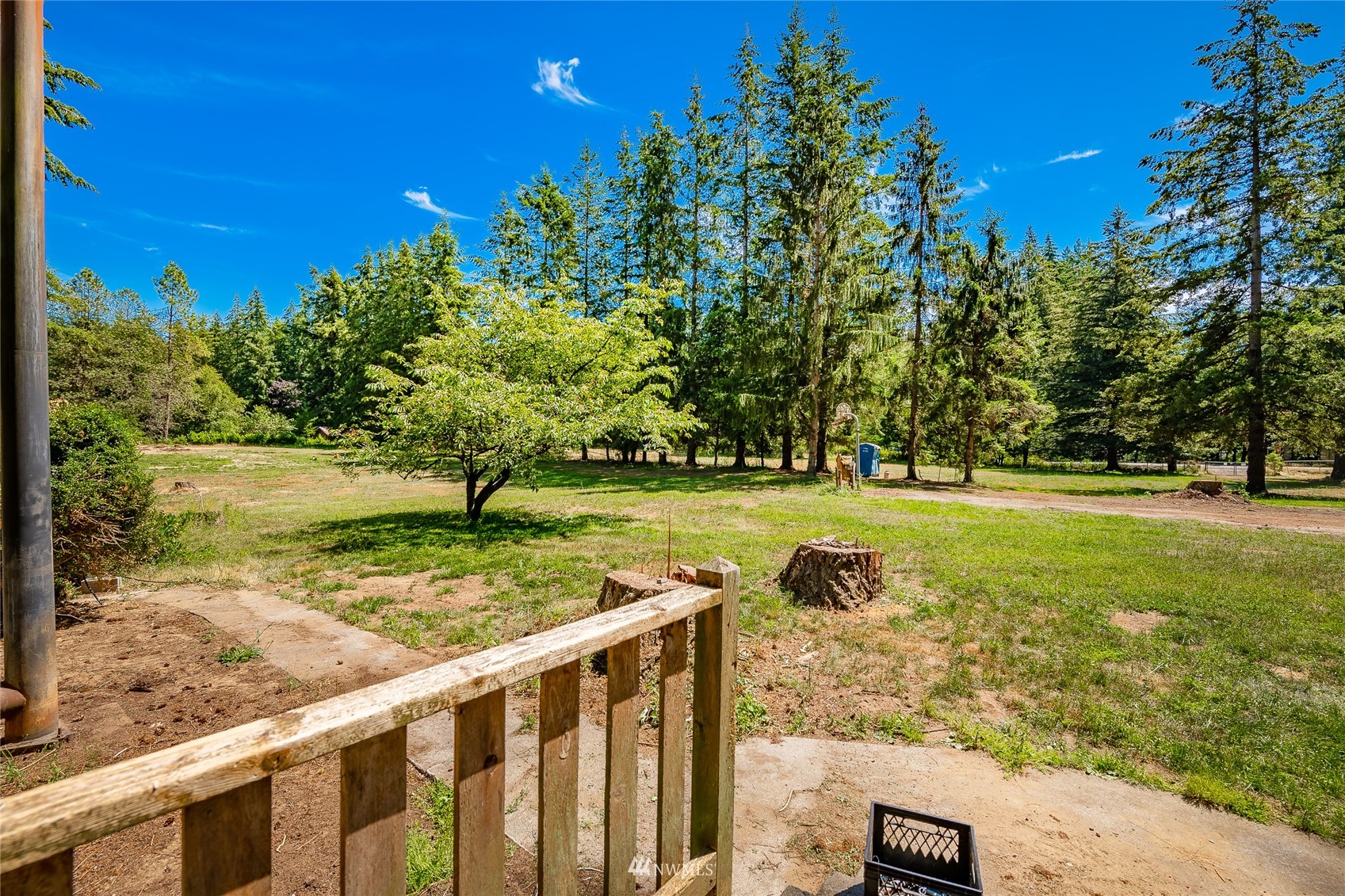8128 Custer School Road Custer, WA 98240 - Photo 11 of 39 a view of a yard with large trees