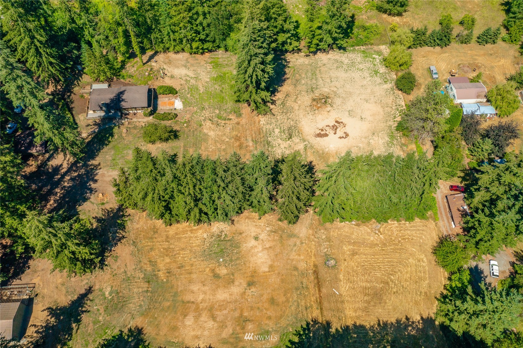 8128 Custer School Road Custer, WA 98240 - Photo 3 of 39 a view of a yard covered with trees