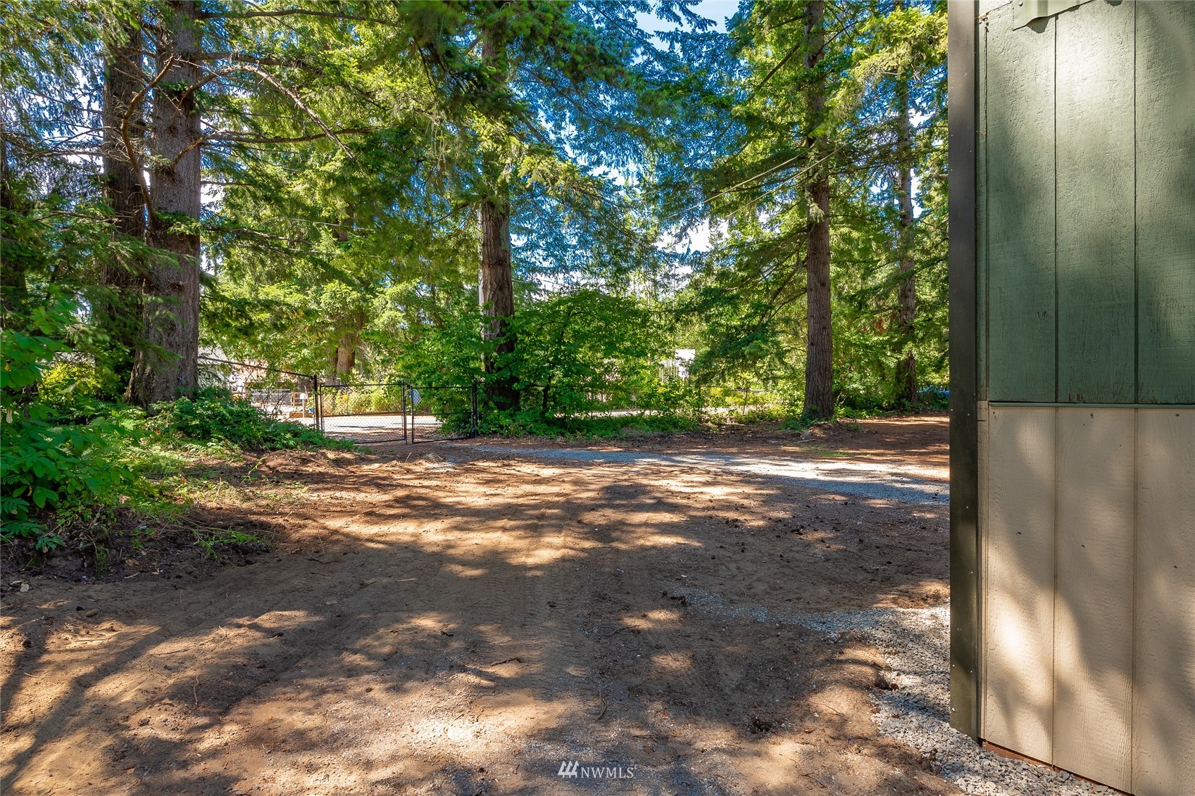 8128 Custer School Road Custer, WA 98240 - Photo 39 of 39 a view of a yard with plants and large trees
