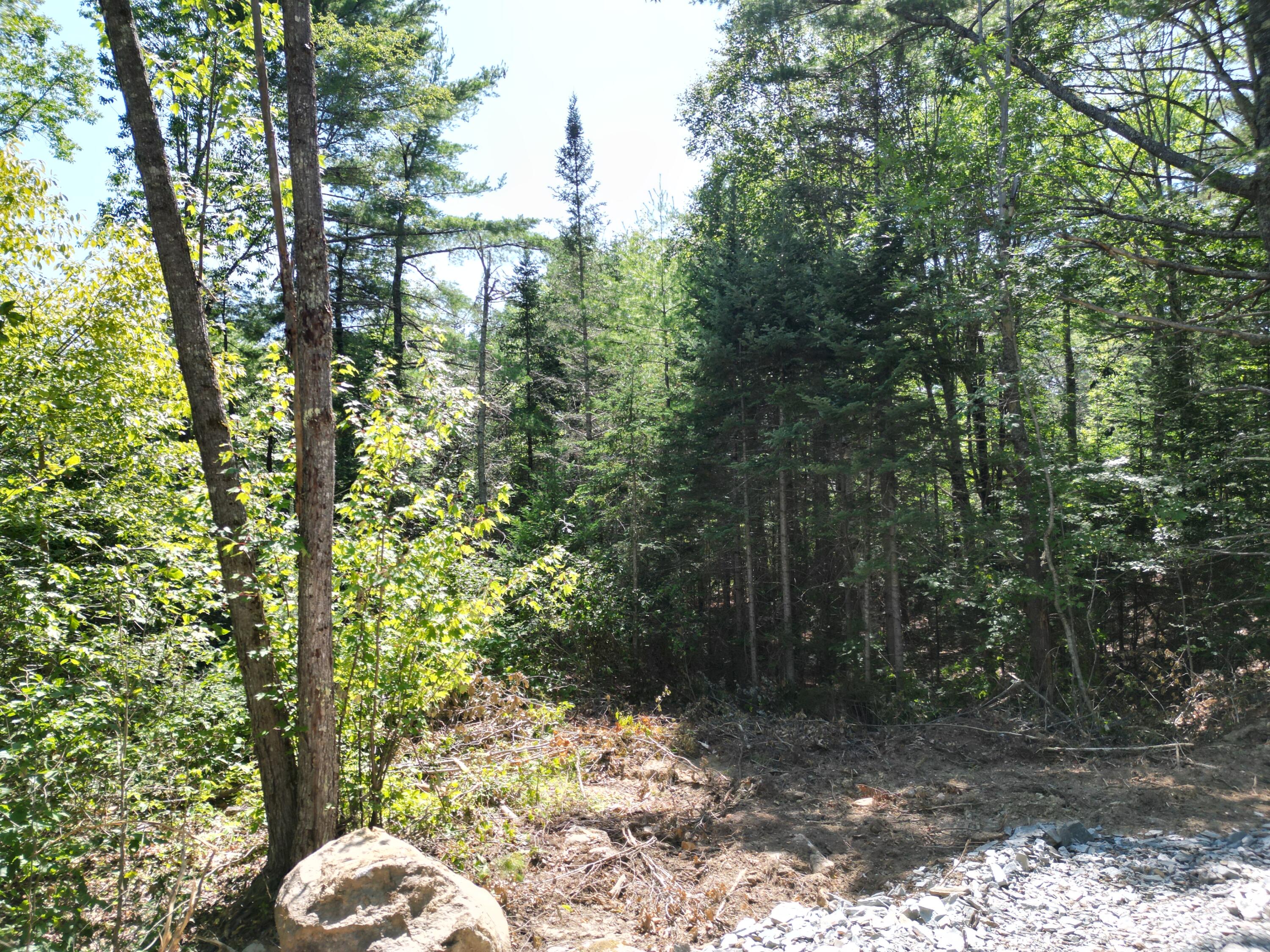 Lot 13-1 Clark Road Prospect, ME 04981 - Photo 7 of 14 DJI_0852
