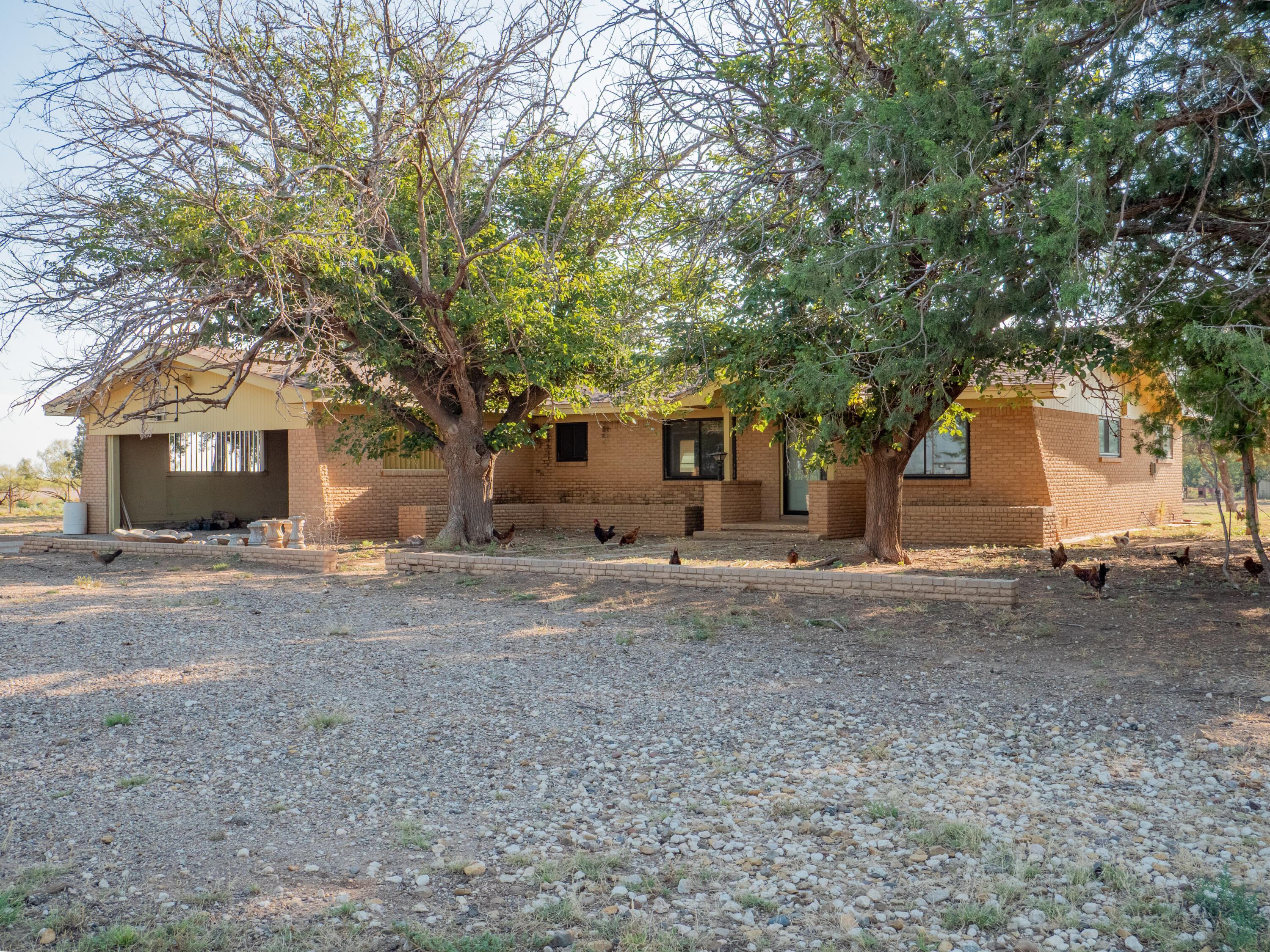 1131 County Road 125 Post, TX 79356 - Photo 1 of 27 a view of a house with a yard