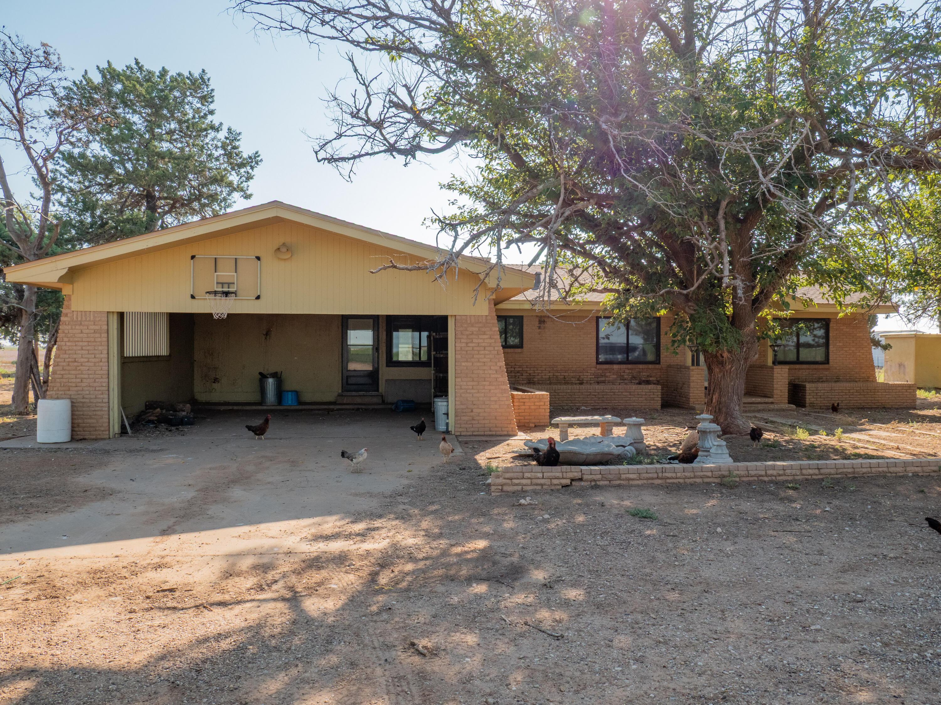 1131 County Road 125 Post, TX 79356 - Photo 25 of 27 a view of a house with backyard and a tree