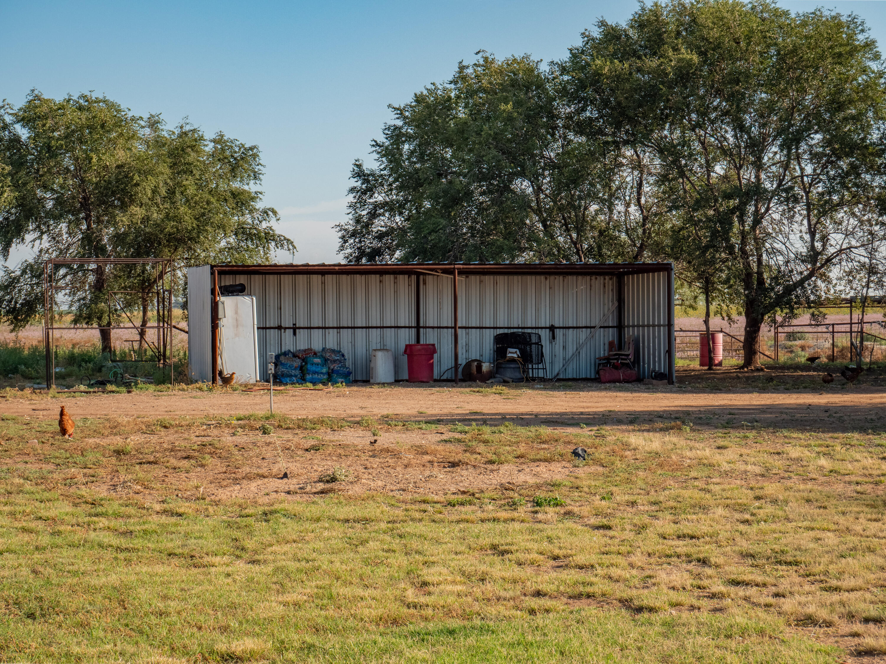 1131 County Road 125 Post, TX 79356 - Photo 3 of 27 a view of a backyard of a house
