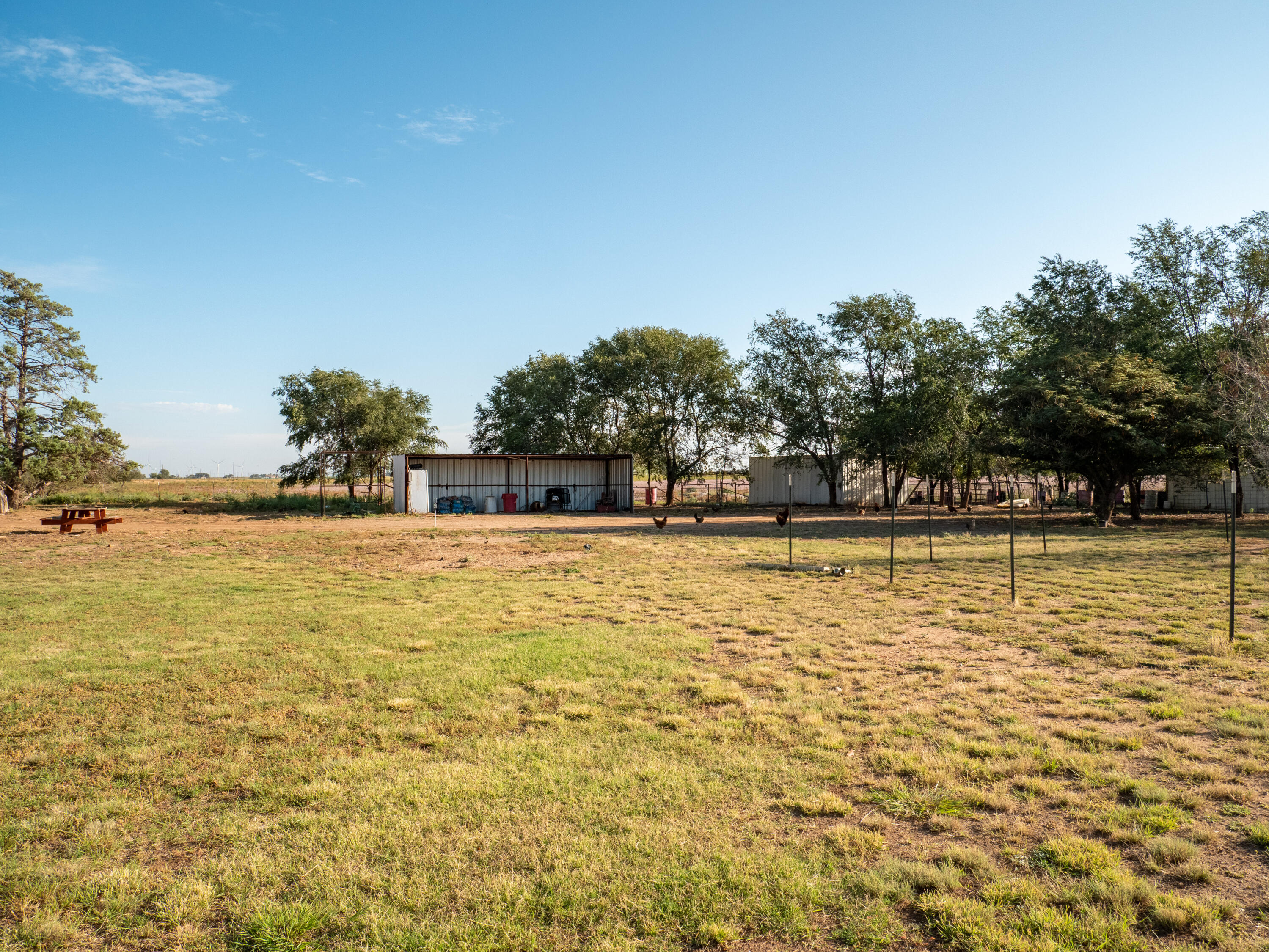 1131 County Road 125 Post, TX 79356 - Photo 5 of 27 a view of swimming pool with outdoor seating and yard in the back
