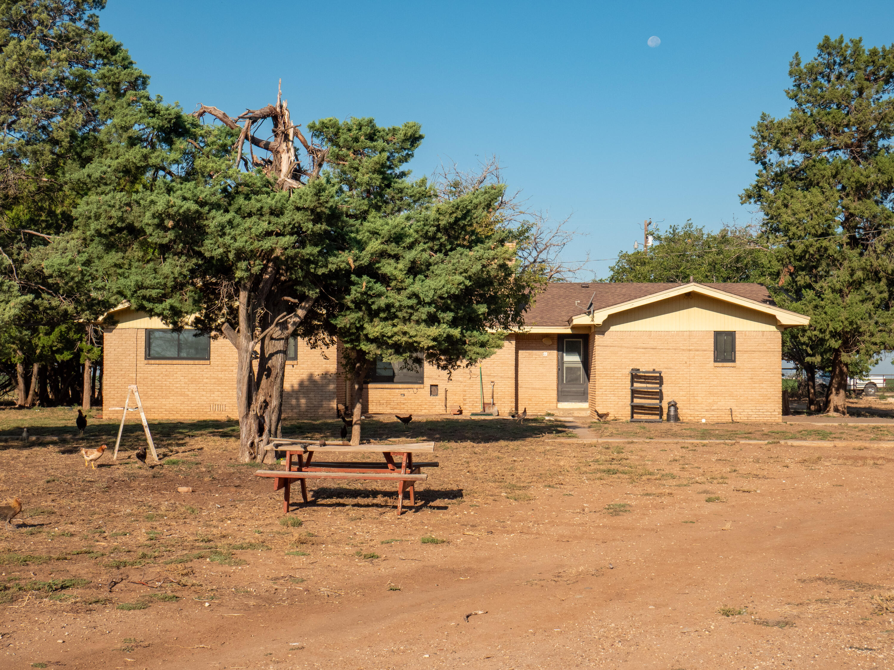 1131 County Road 125 Post, TX 79356 - Photo 6 of 27 a view of a backyard with a bench under a large tree