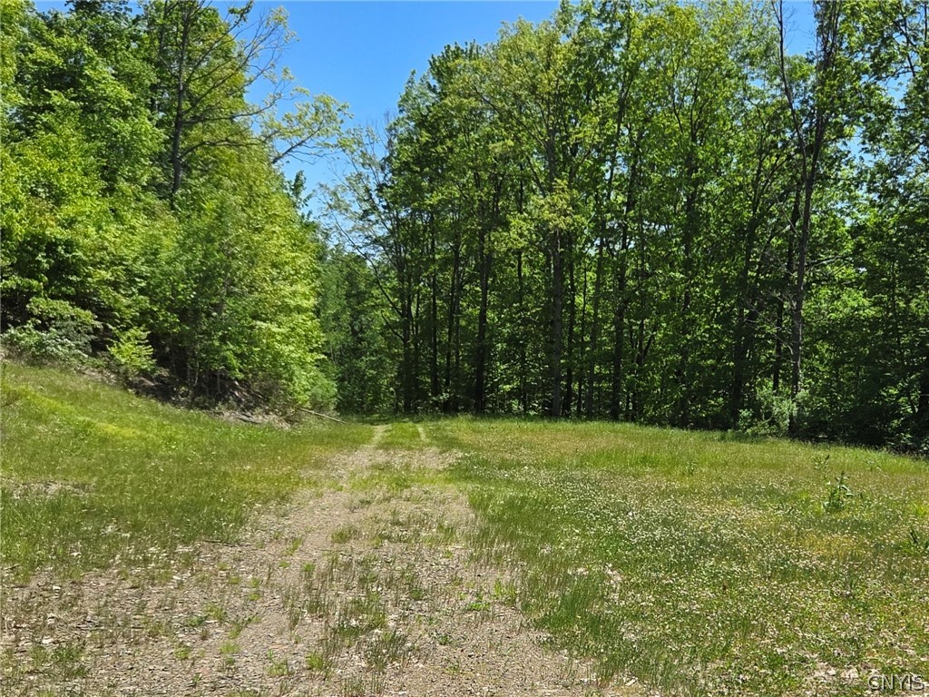 Lillibridge Road Olean, NY 14760 - Photo 10 of 48