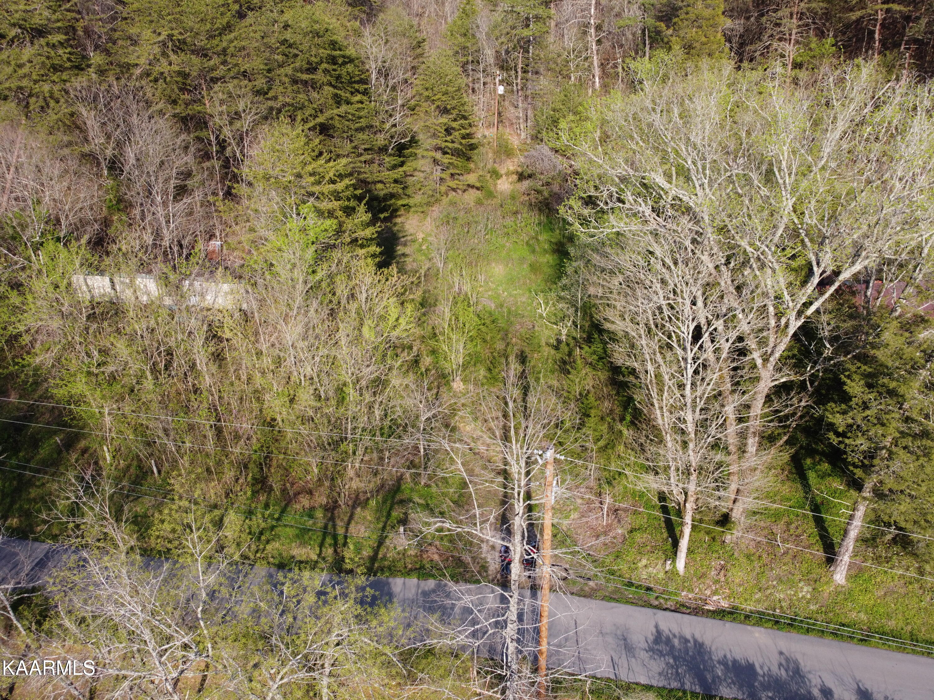 Lester Whitt Road Rutledge, TN 37861 - Photo 16 of 26 DJI_0247