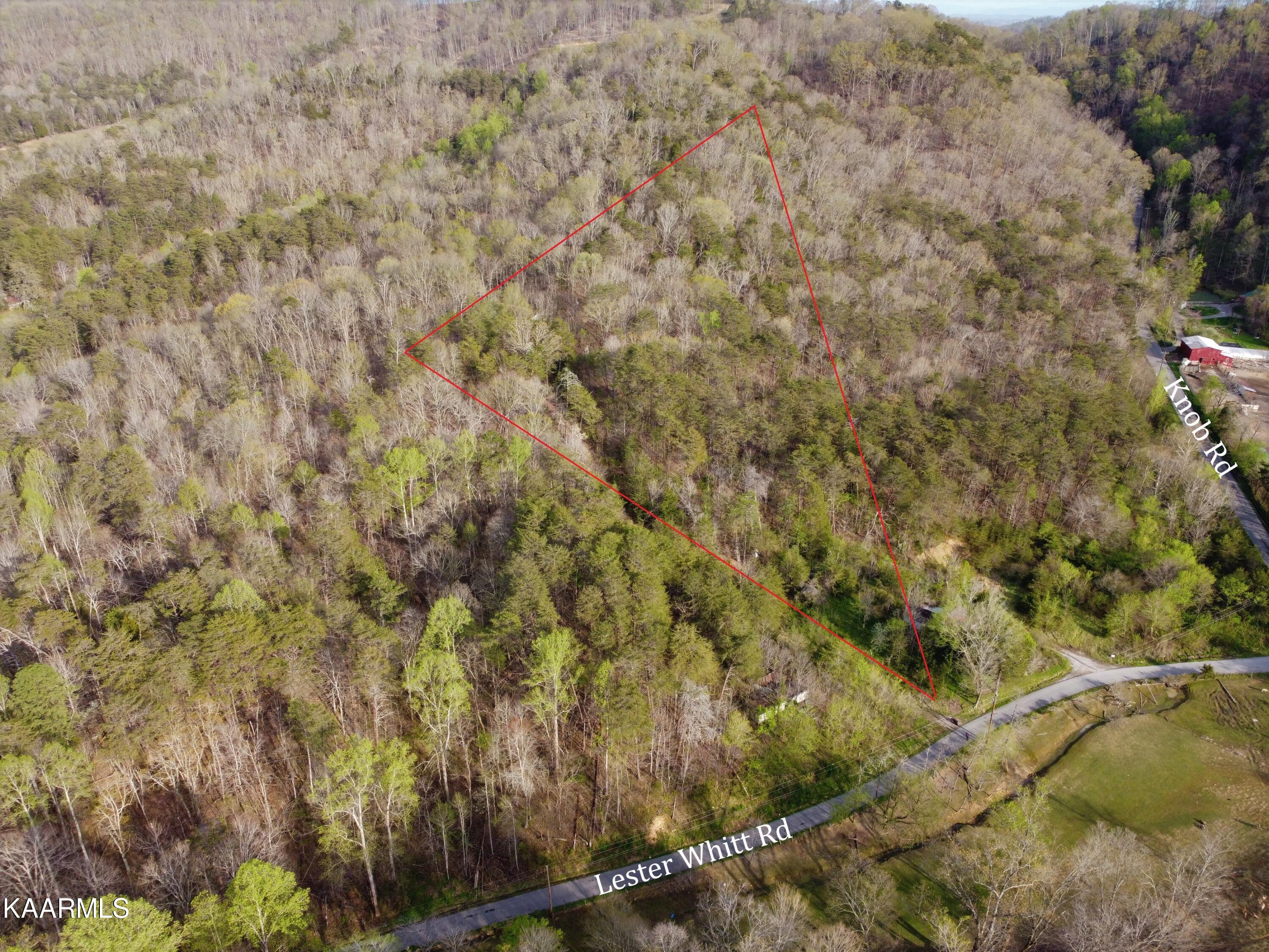 Lester Whitt Road Rutledge, TN 37861 - Photo 4 of 26 DJI_0239