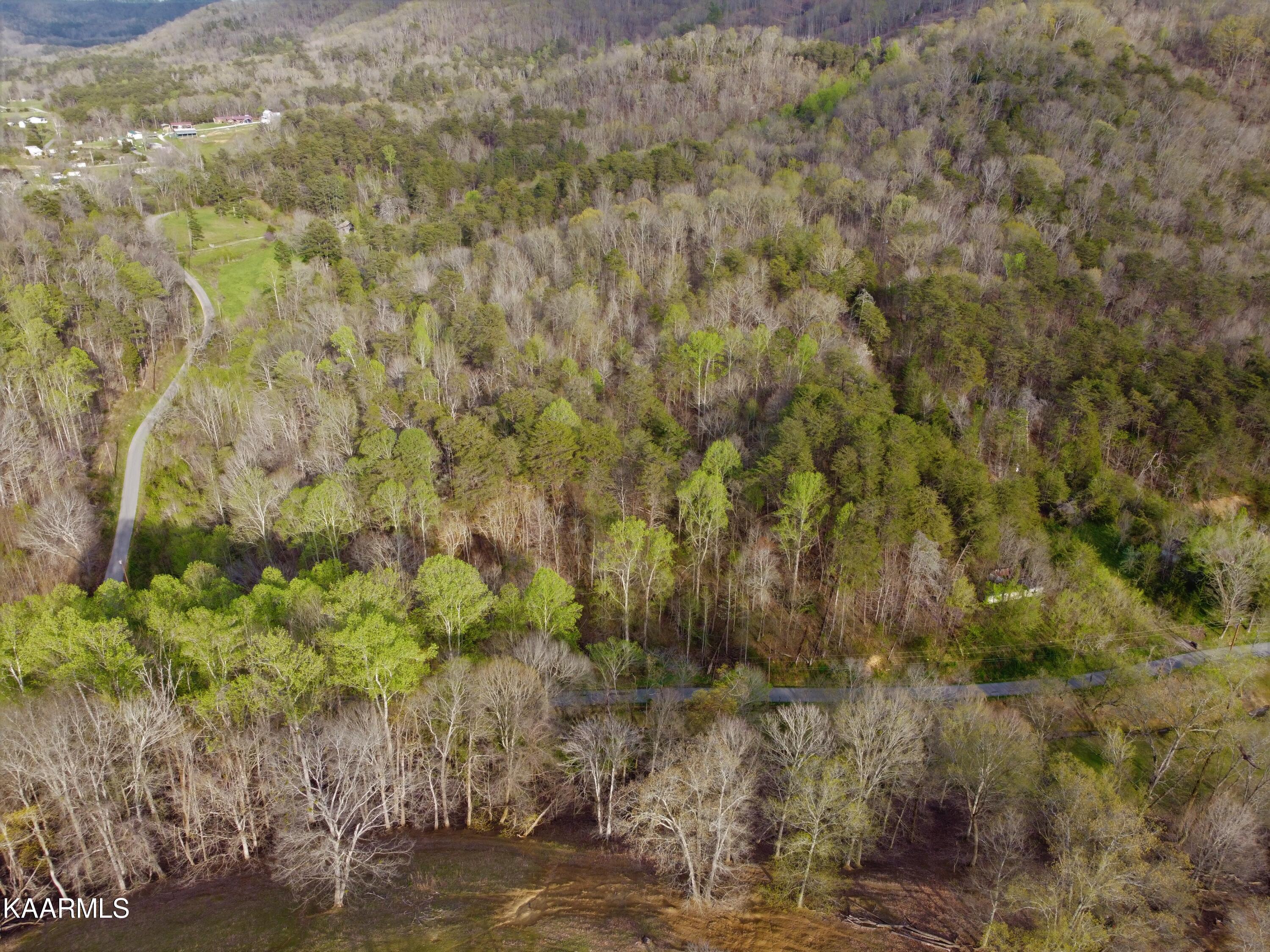 Lester Whitt Road Rutledge, TN 37861 - Photo 7 of 26 DJI_0236