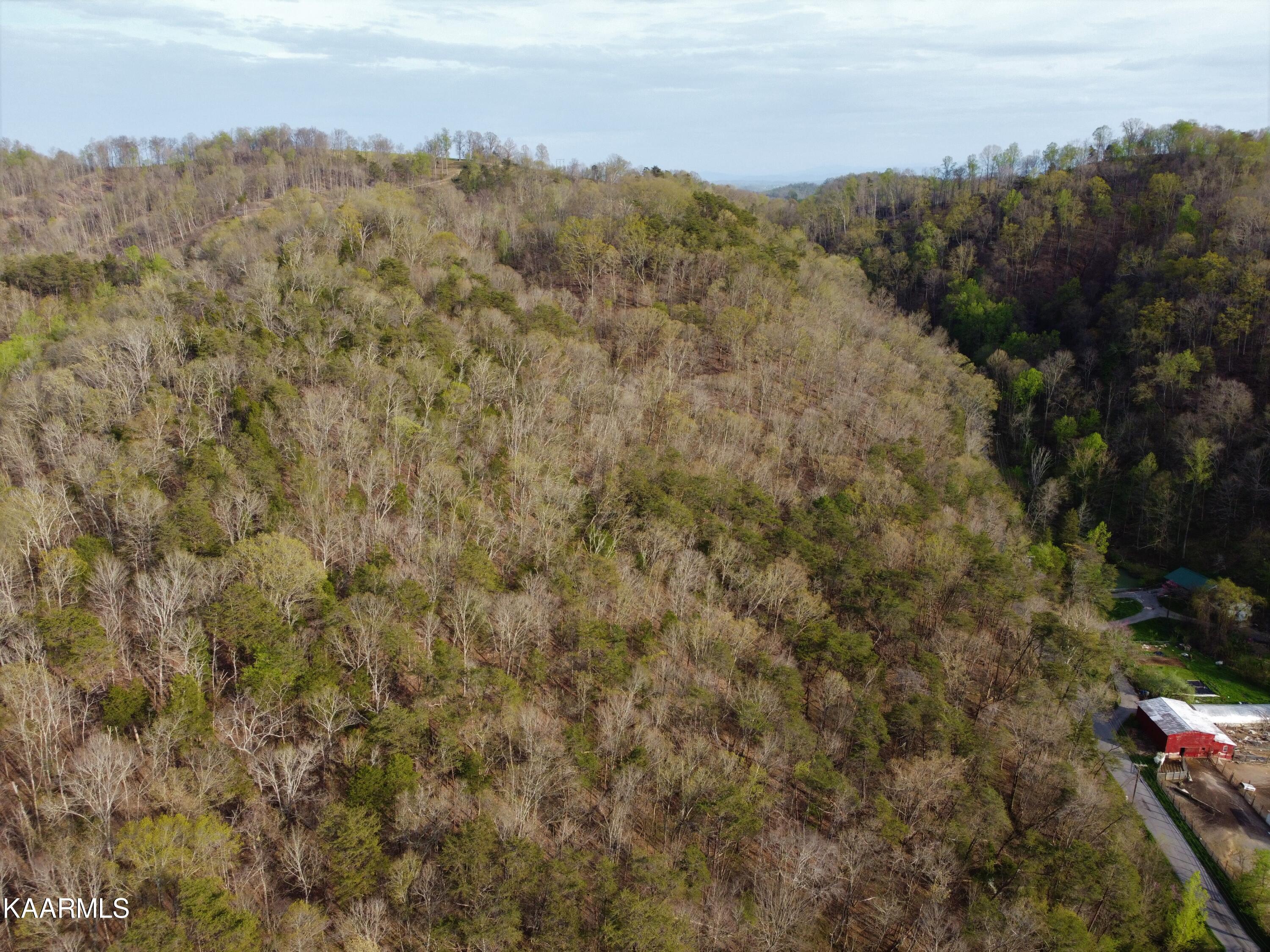 Lester Whitt Road Rutledge, TN 37861 - Photo 10 of 26 DJI_0241