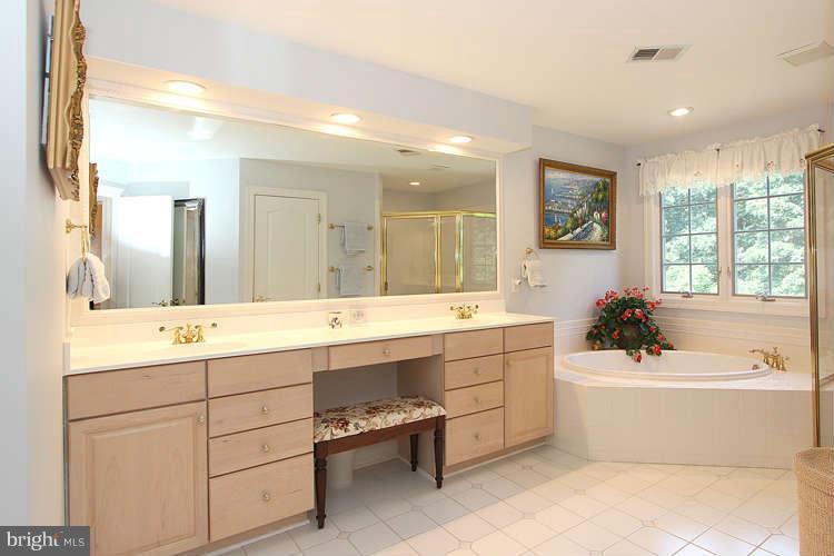 2038 Lord Fairfax Road Vienna, VA 22182 - Photo 10 of 24 a bathroom with a sink a large mirror and a bathtub next to a window