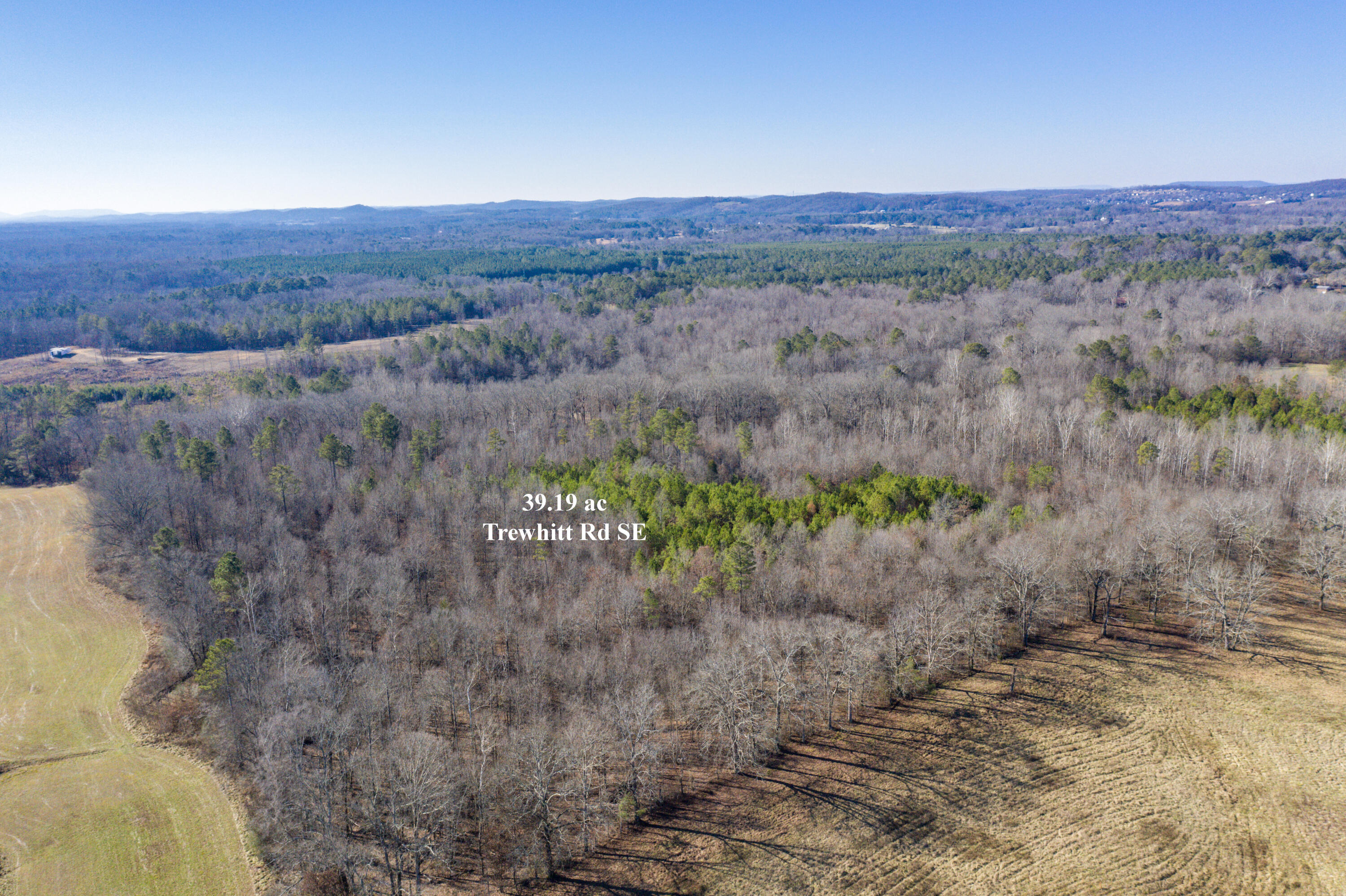 39.19-ac Southeast Trewhitt Road Cleveland, TN 37323 - Photo 11 of 34 11-DJI_0604-Edit