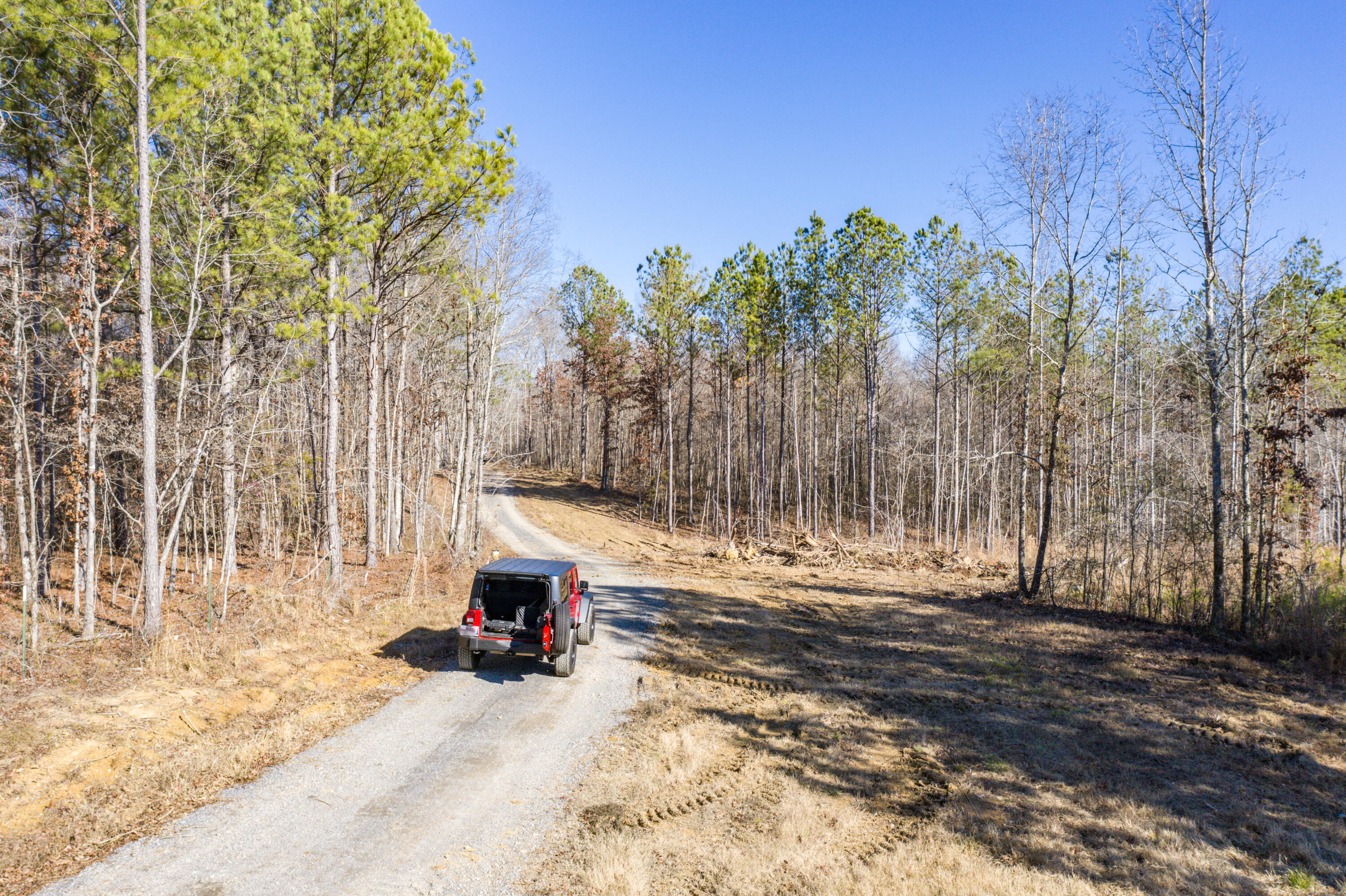 39.19-ac Southeast Trewhitt Road Cleveland, TN 37323 - Photo 14 of 34 14-DJI_0595