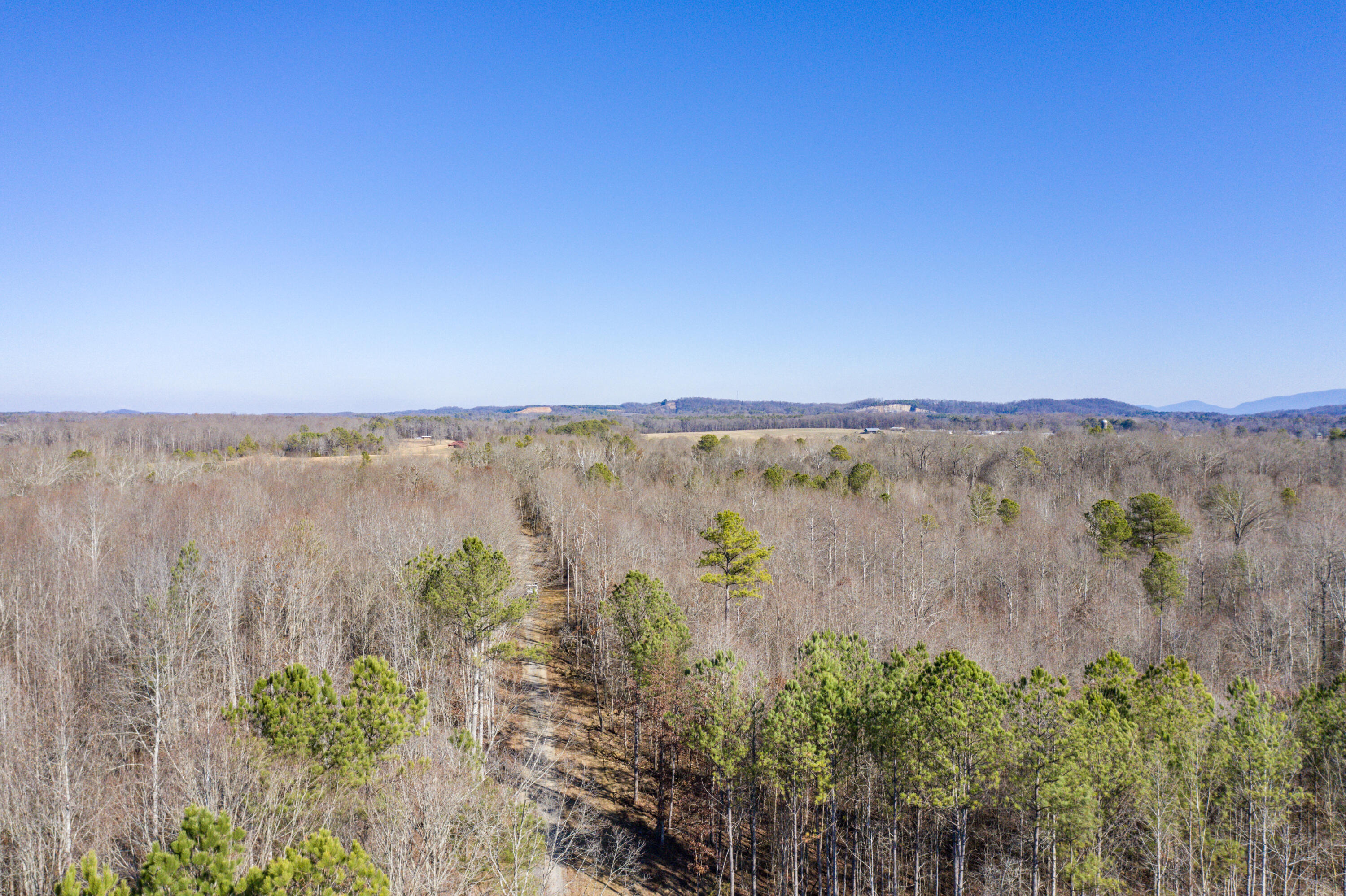 39.19-ac Southeast Trewhitt Road Cleveland, TN 37323 - Photo 16 of 34 16-DJI_0596