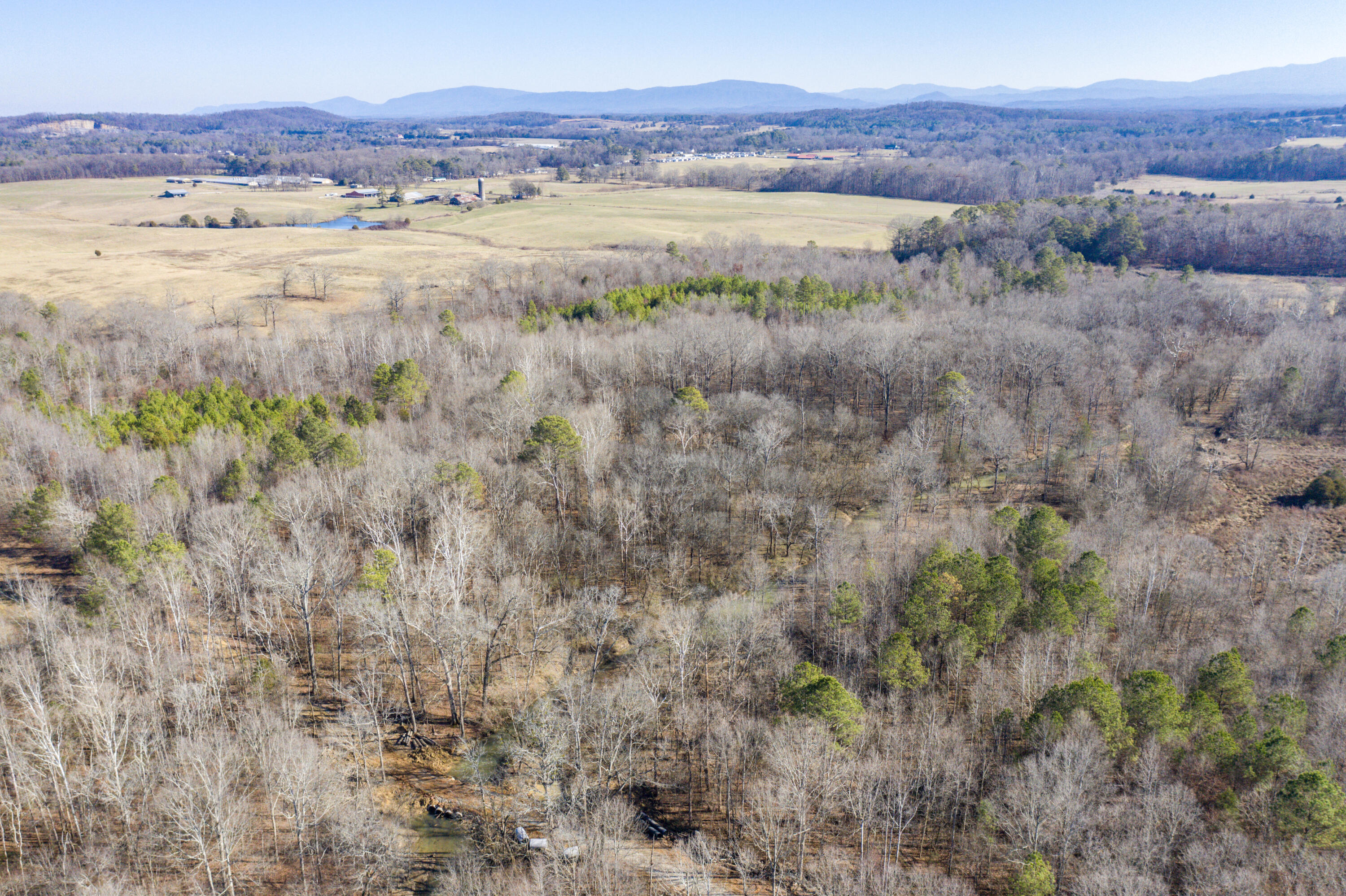 39.19-ac Southeast Trewhitt Road Cleveland, TN 37323 - Photo 17 of 34 17-DJI_0599