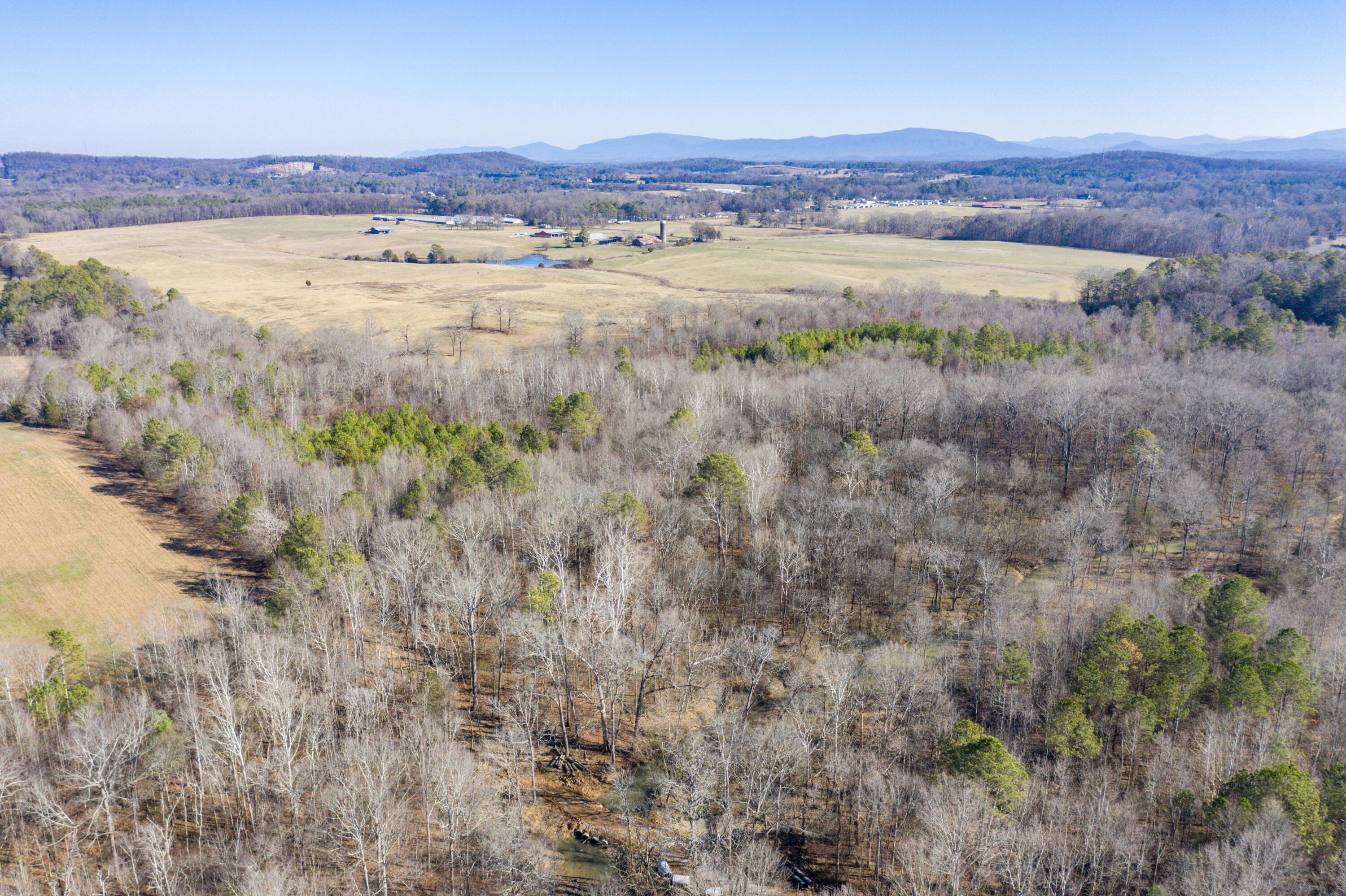 39.19-ac Southeast Trewhitt Road Cleveland, TN 37323 - Photo 18 of 34 18-DJI_0600