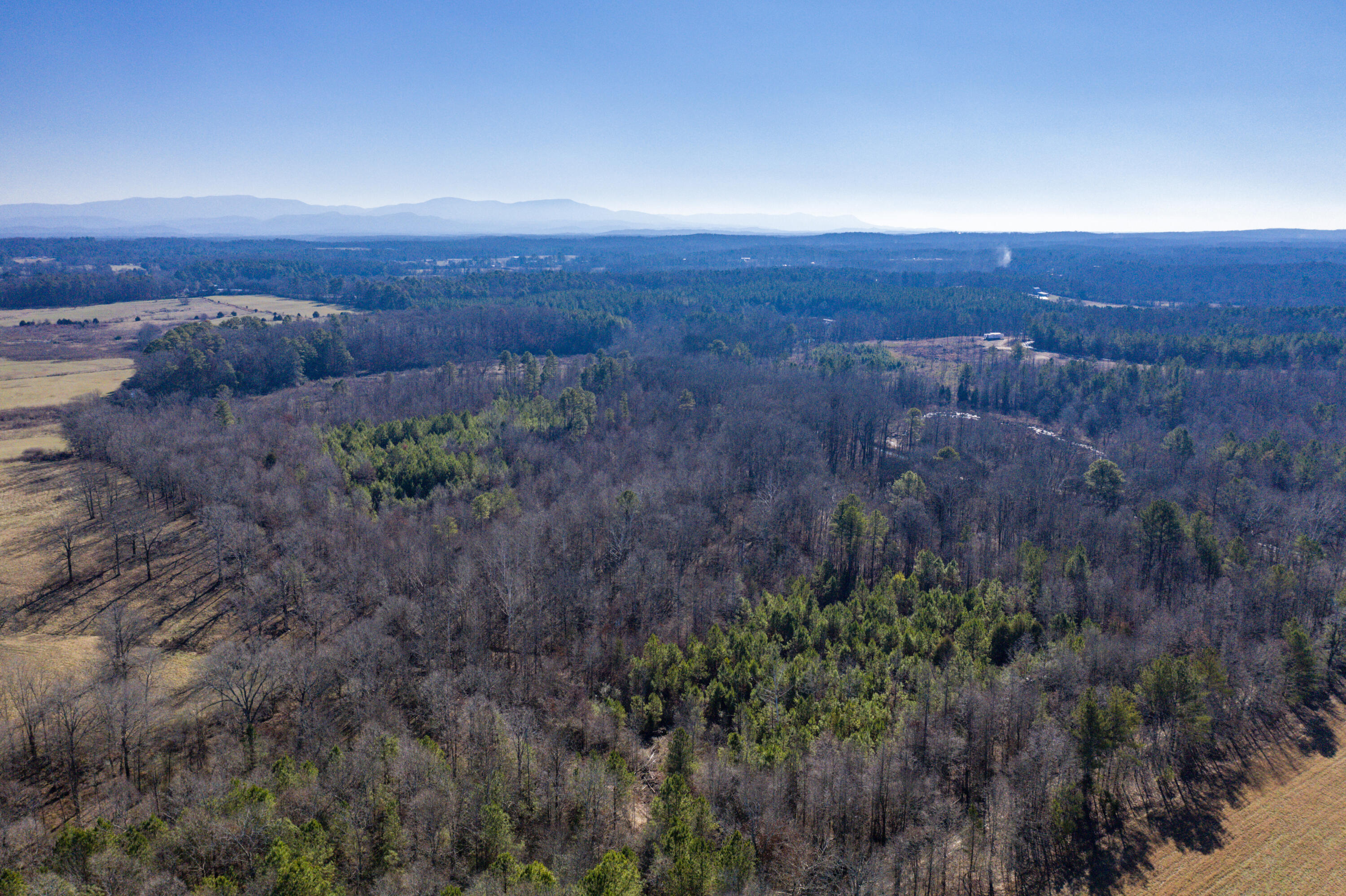 39.19-ac Southeast Trewhitt Road Cleveland, TN 37323 - Photo 20 of 34 20-DJI_0602