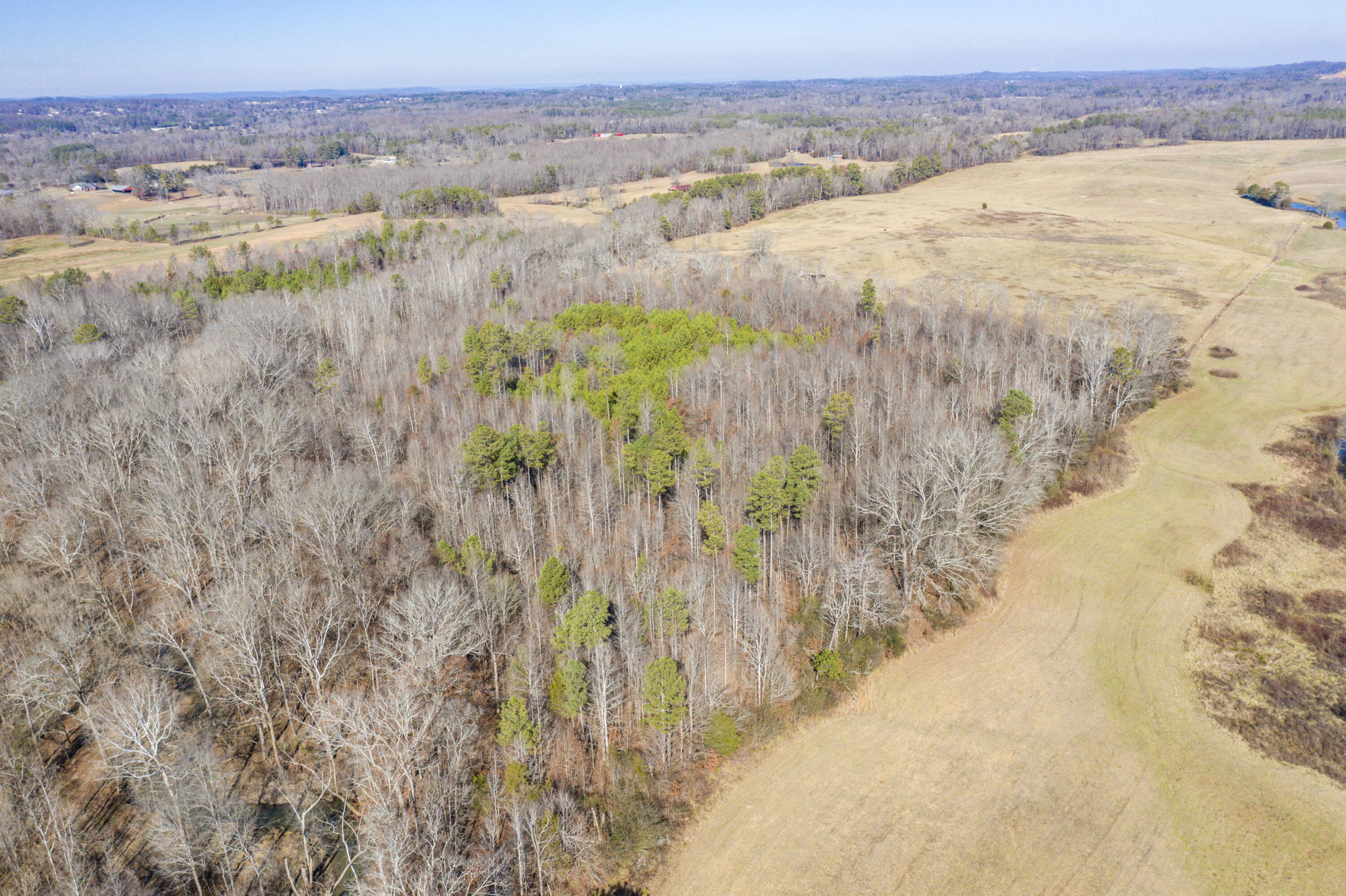 39.19-ac Southeast Trewhitt Road Cleveland, TN 37323 - Photo 21 of 34 21-DJI_0606