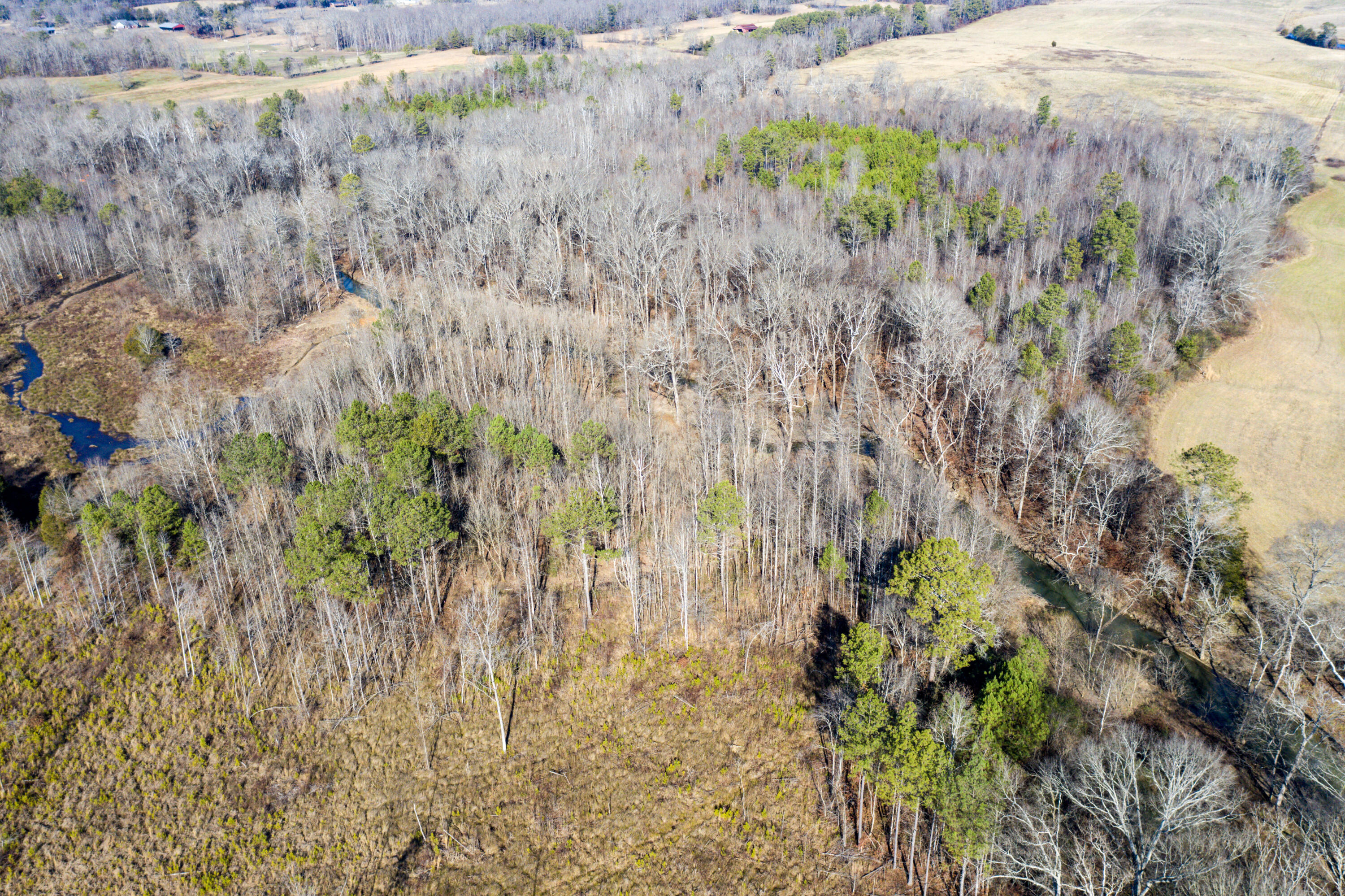 39.19-ac Southeast Trewhitt Road Cleveland, TN 37323 - Photo 23 of 34 23-DJI_0609