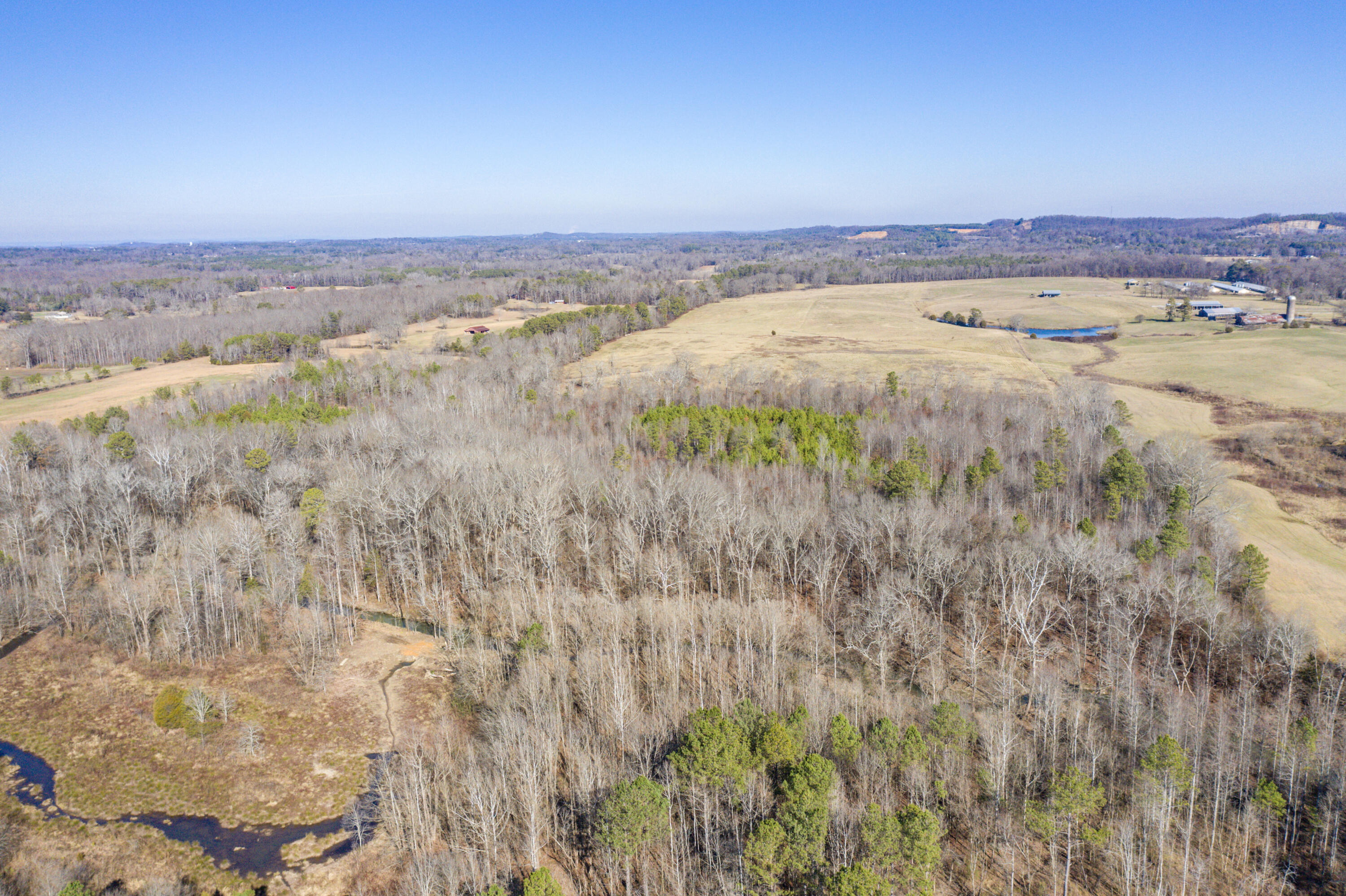 39.19-ac Southeast Trewhitt Road Cleveland, TN 37323 - Photo 24 of 34 24-DJI_0610