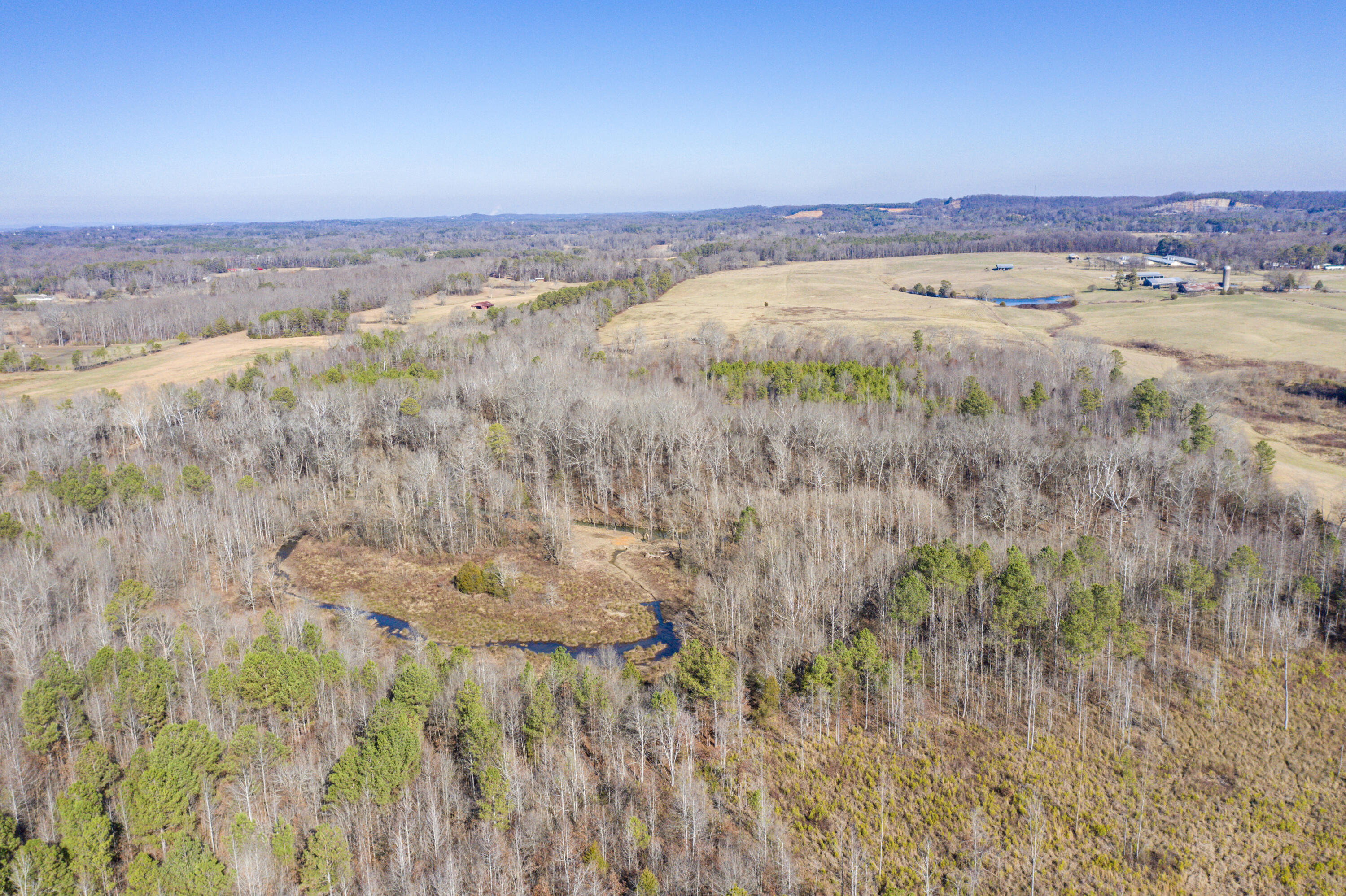 39.19-ac Southeast Trewhitt Road Cleveland, TN 37323 - Photo 25 of 34 25-DJI_0611