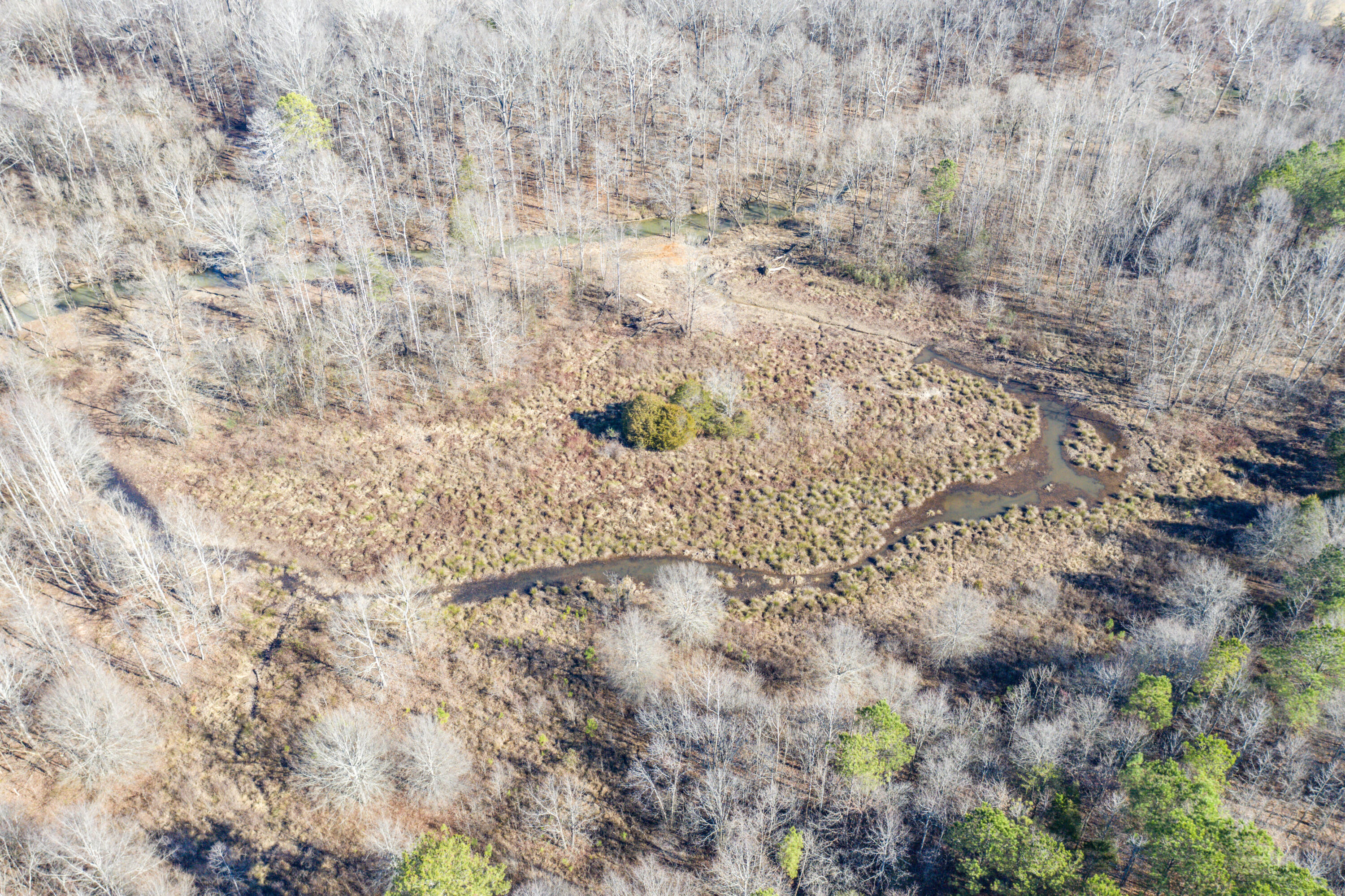 39.19-ac Southeast Trewhitt Road Cleveland, TN 37323 - Photo 28 of 34 28-DJI_0616