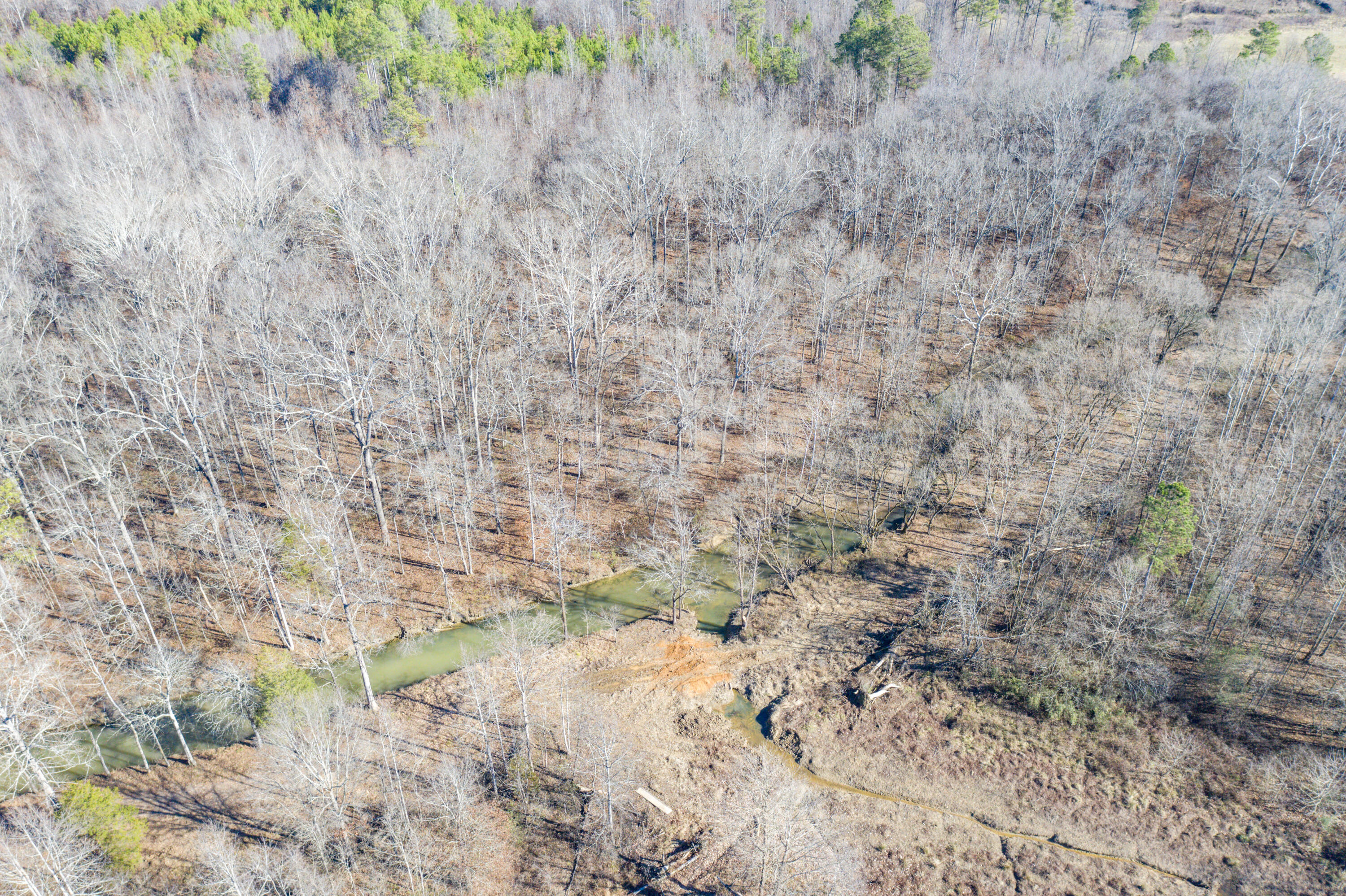 39.19-ac Southeast Trewhitt Road Cleveland, TN 37323 - Photo 29 of 34 29-DJI_0617