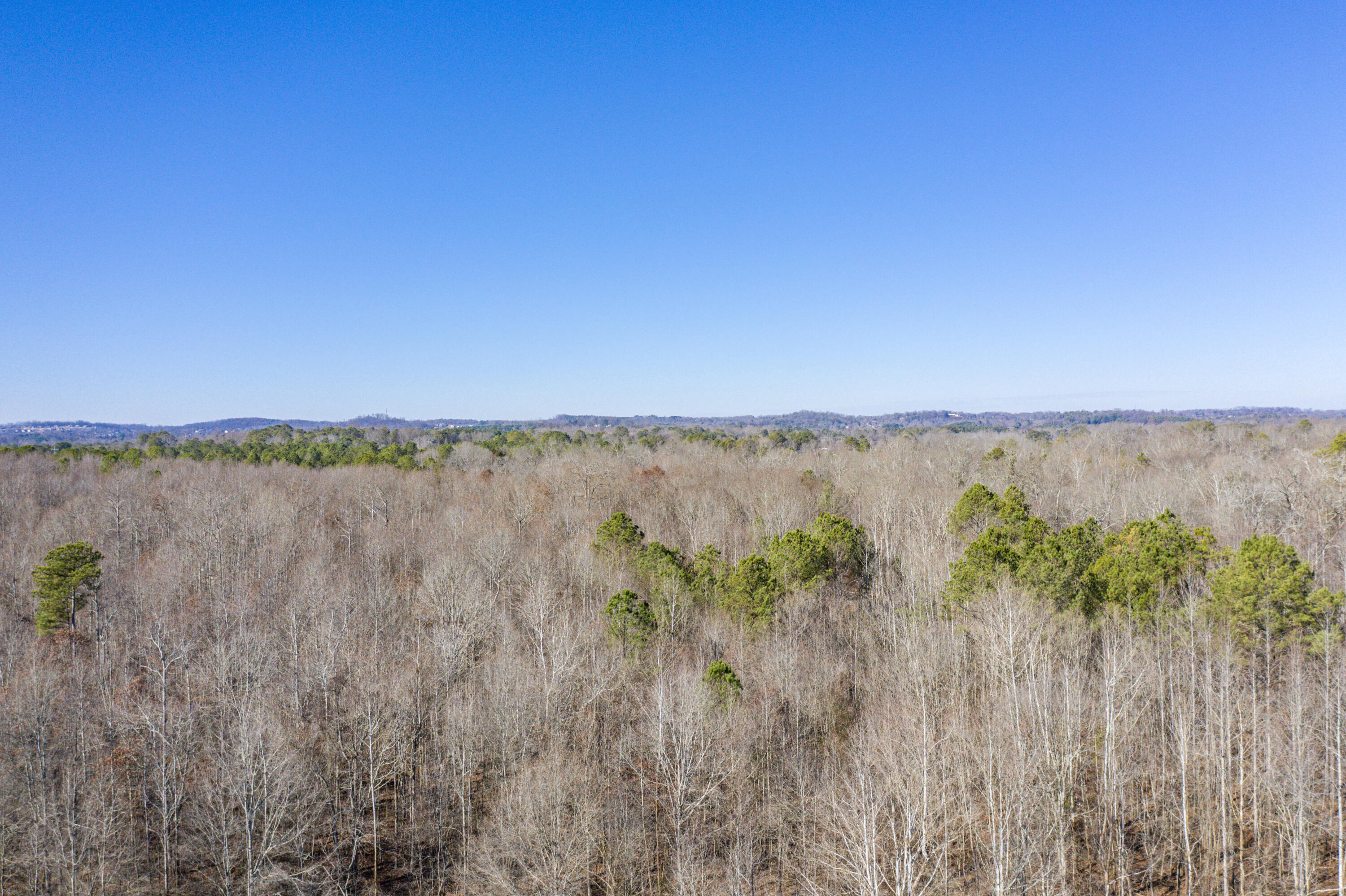 39.19-ac Southeast Trewhitt Road Cleveland, TN 37323 - Photo 31 of 34 31-DJI_0619
