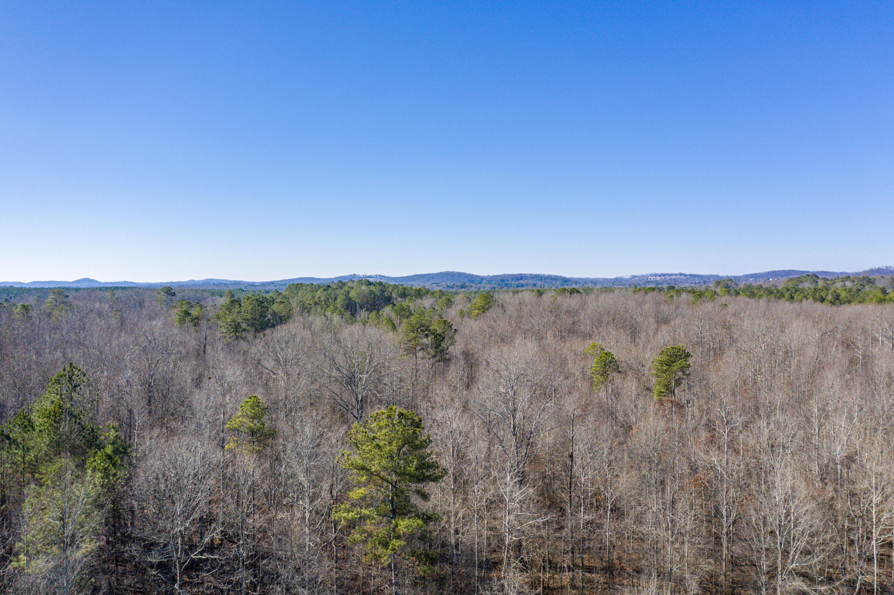 39.19-ac Southeast Trewhitt Road Cleveland, TN 37323 - Photo 32 of 34 32-DJI_0620