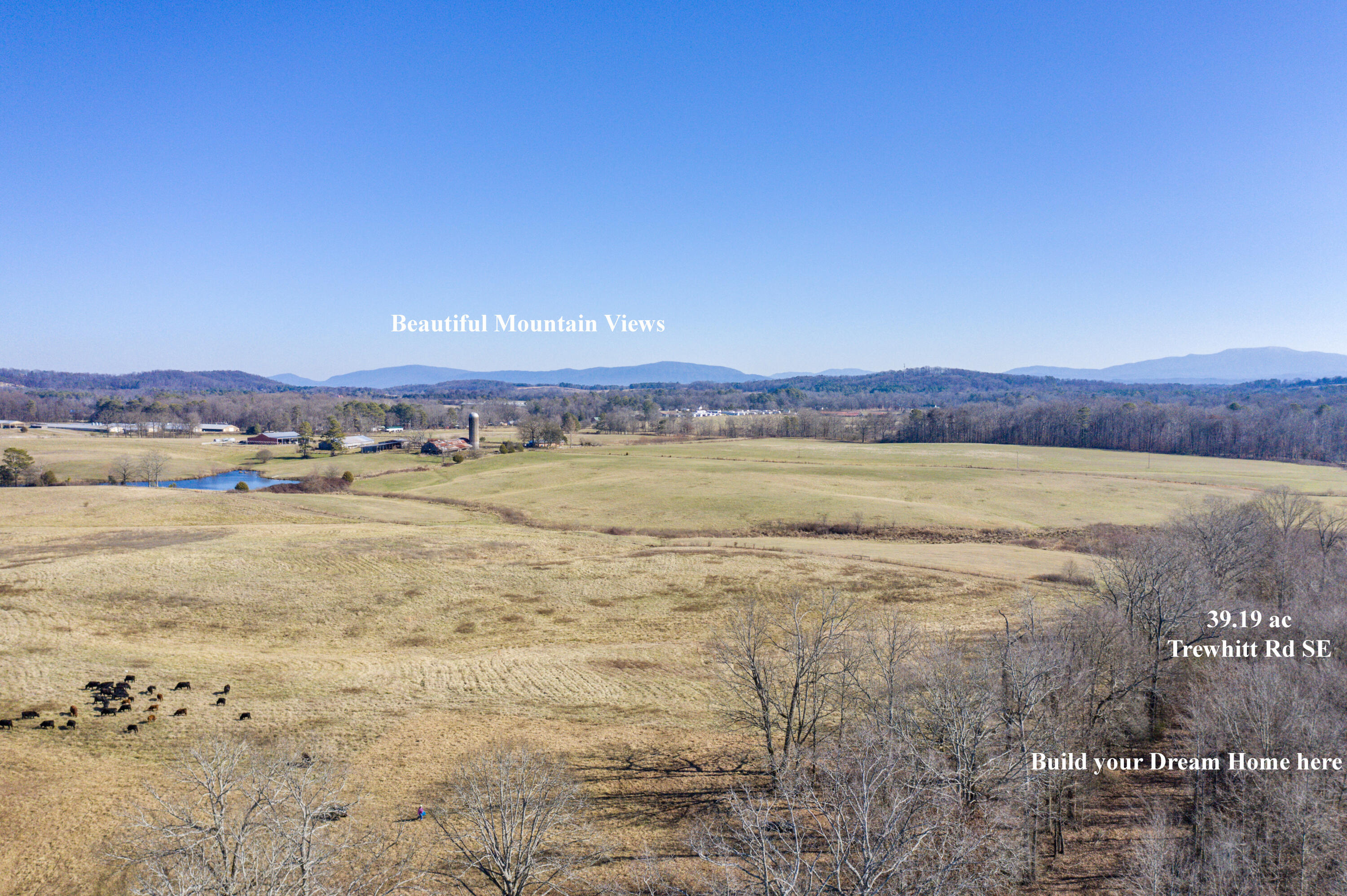 39.19-ac Southeast Trewhitt Road Cleveland, TN 37323 - Photo 6 of 34 6-DJI_0621-Edit