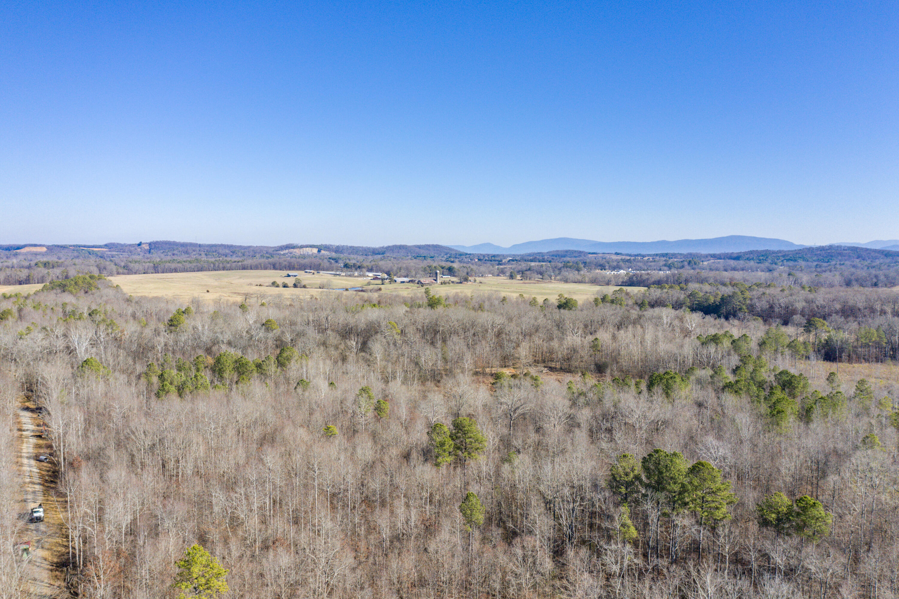 39.19-ac Southeast Trewhitt Road Cleveland, TN 37323 - Photo 10 of 34 10-DJI_0598
