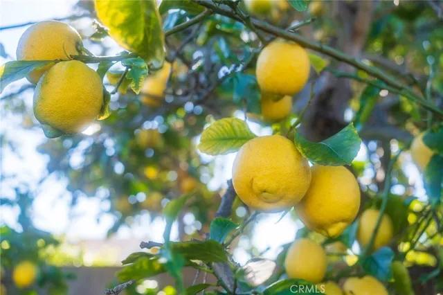 $1,220,000 | 15281 Dogwood Street, Westminster, CA 92683