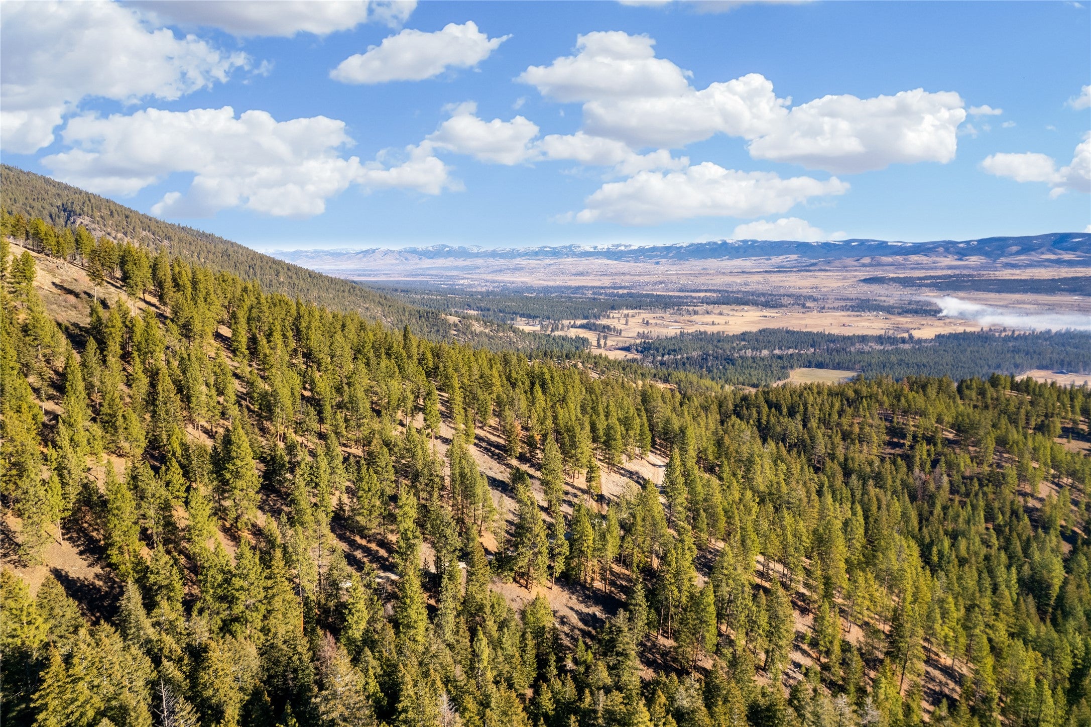 Tbd Glen Lake Trailhead Road Victor, MT 59875 - Photo 3 of 10 Gallery Image 3