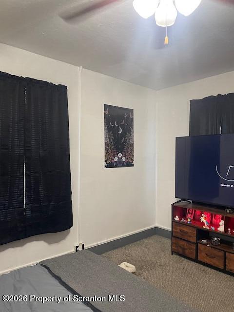 812 Butler Street Dunmore, PA 18512 - Photo 12 of 15 a room with furniture and a potted plant