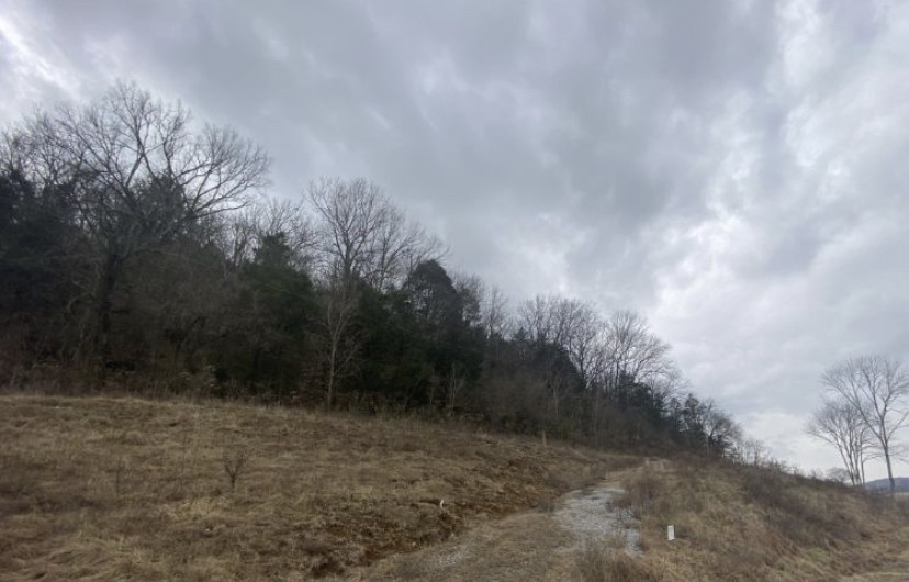 3 Oakley Road Liberty, TN 37095 - Photo 1 of 6 a view of a dry yard with trees