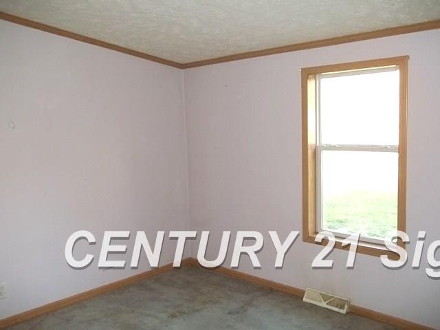 14787 South Merrill Road Elsie, MI 48831 - Photo 16 of 20