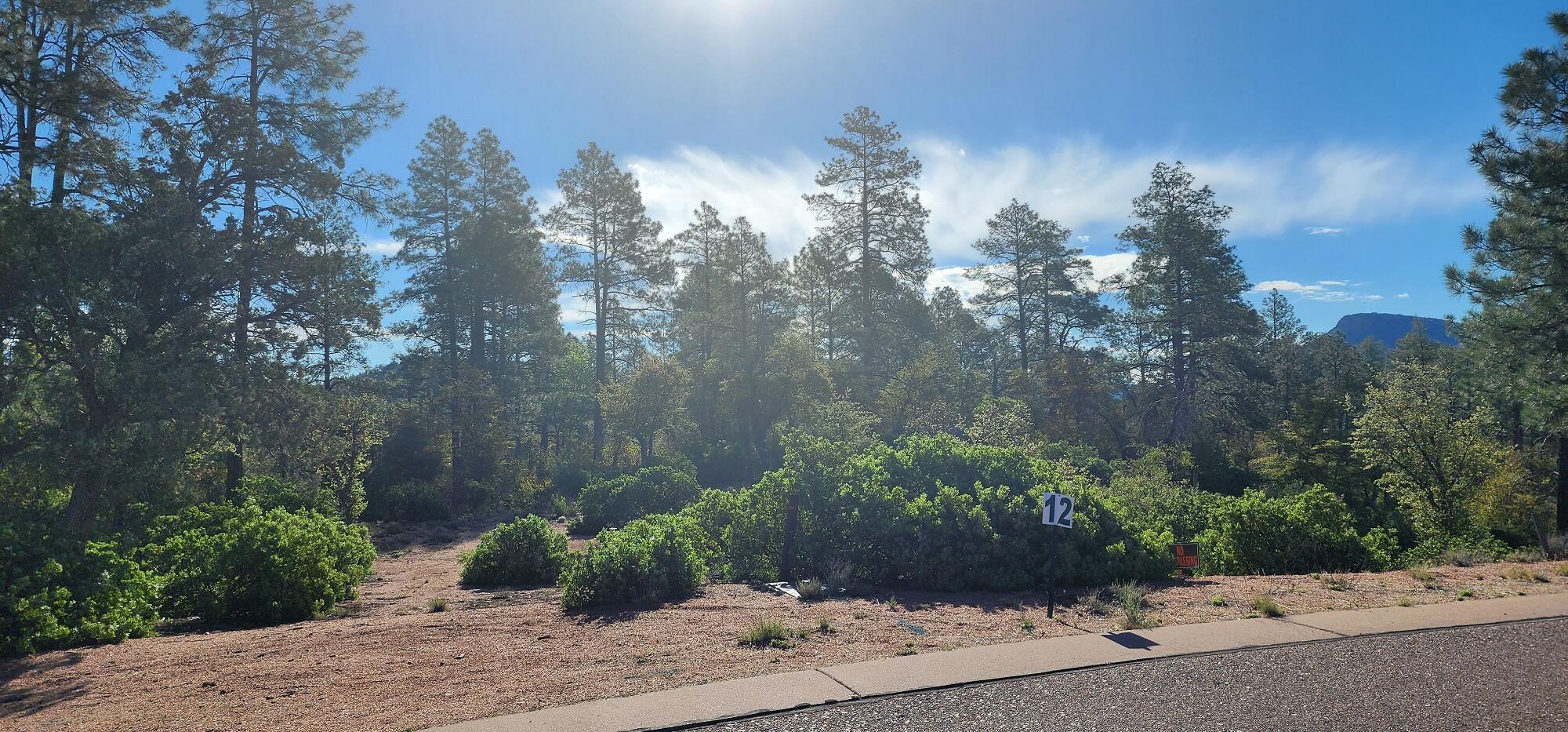 -- East Phoenix Street Payson, AZ 85541 - Photo 1 of 17 a view of a street with flower plants and large trees