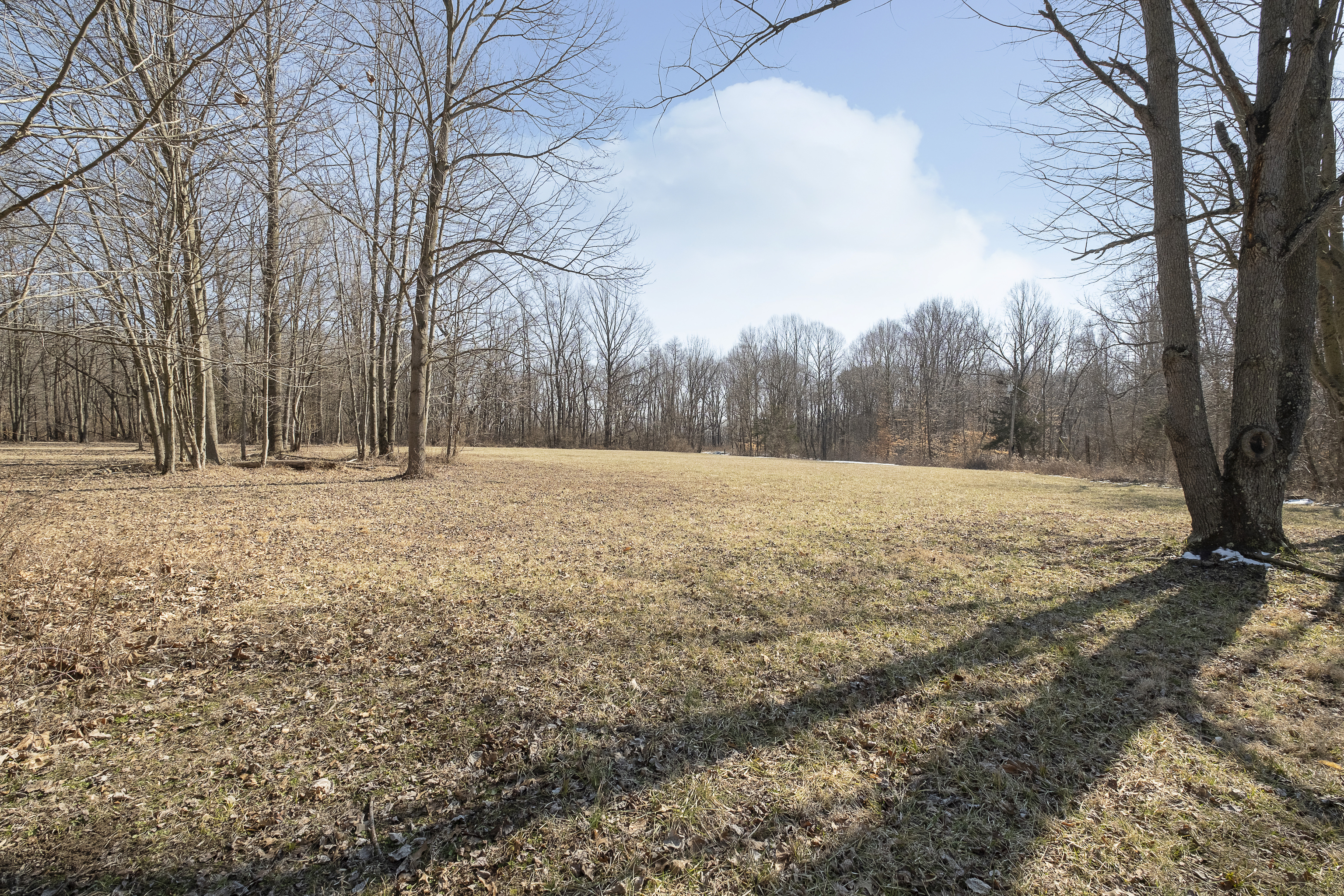 3640 West County Road 1385 North Rosedale, IN 47874 - Photo 6 of 21