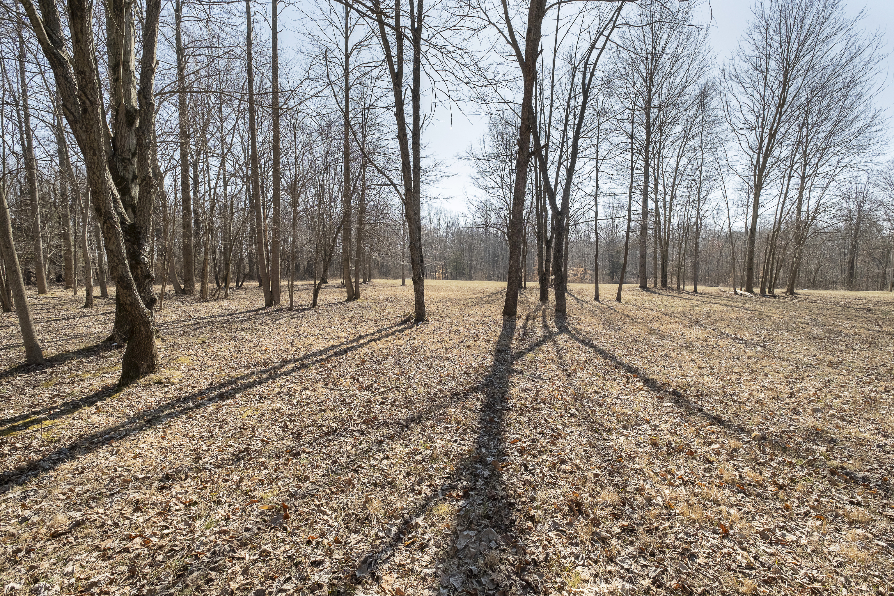 3640 West County Road 1385 North Rosedale, IN 47874 - Photo 8 of 21